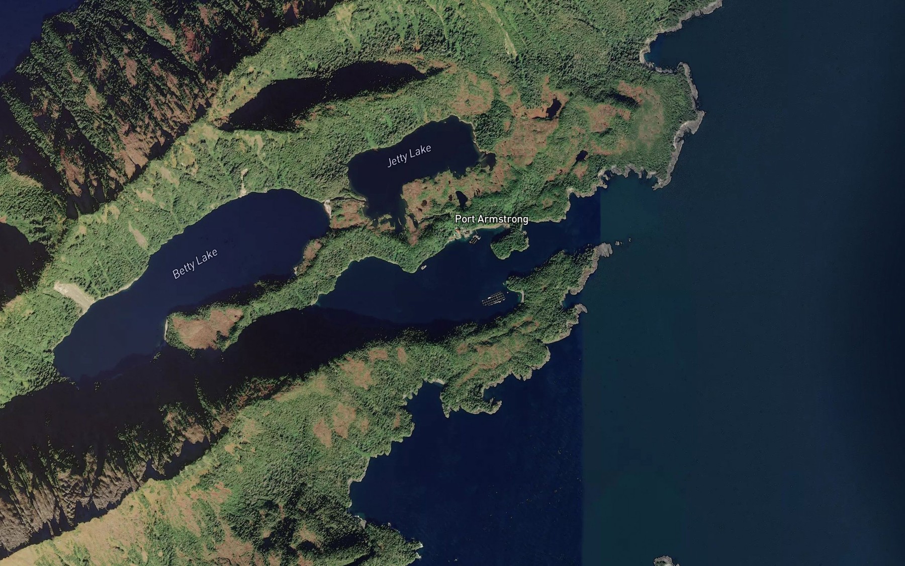 Satellite map of the Port Armstrong