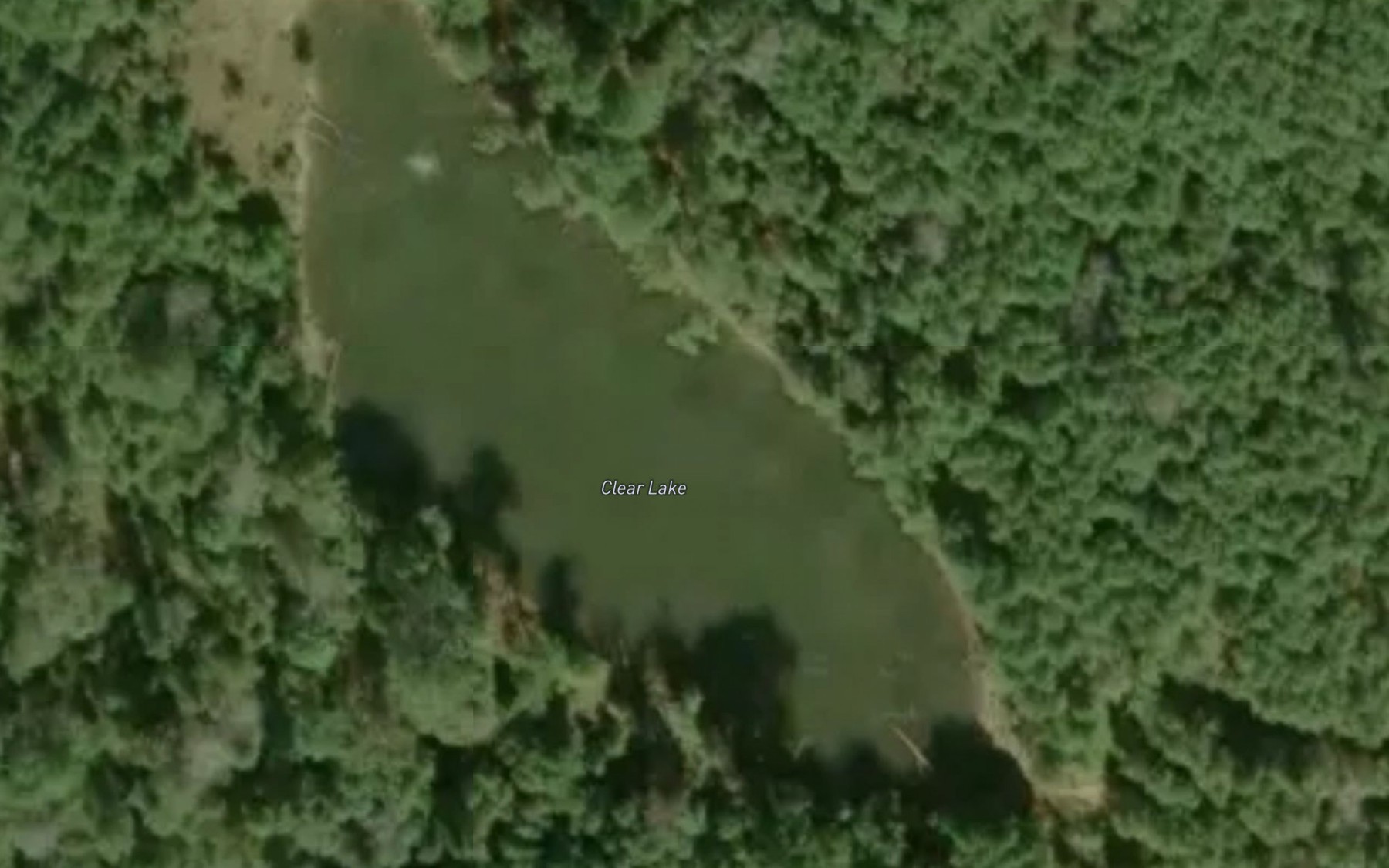 Satellite map of the Clear Lake