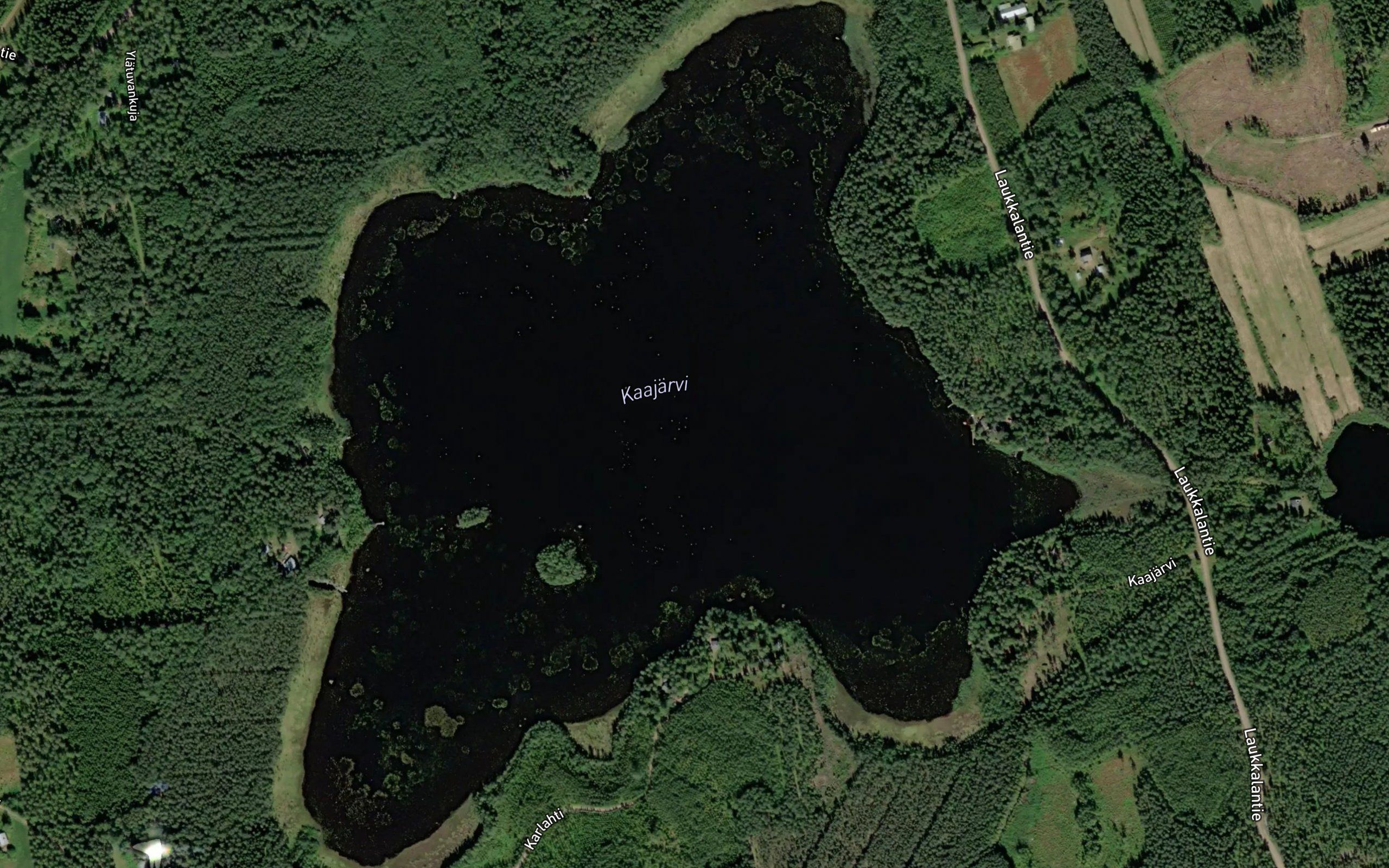 Kaajarvi