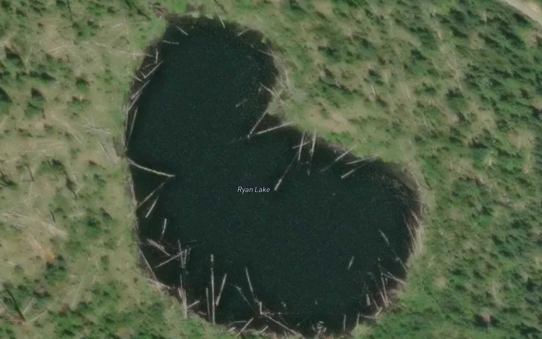 Satellite map of the Ryan Lake