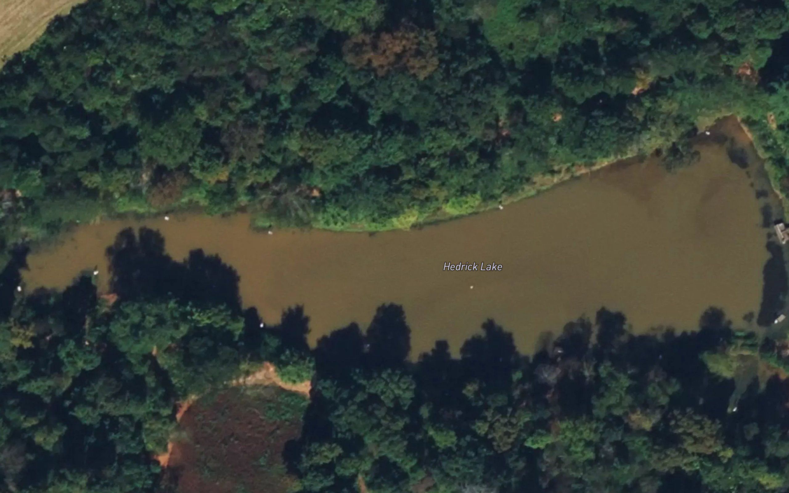 Hedrick Lake