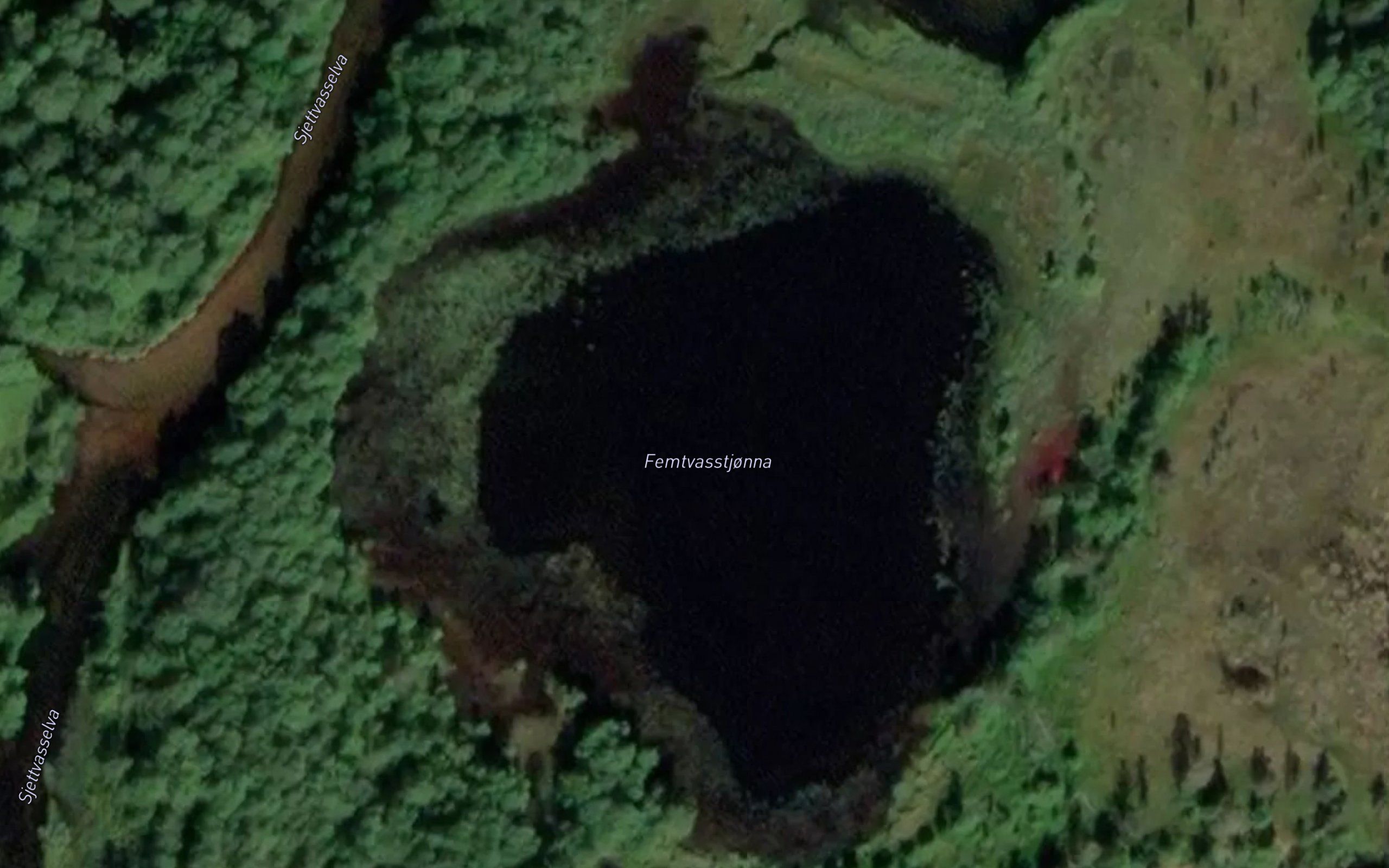 Femtvasstjonna