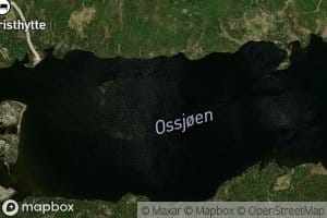 Ossjoen