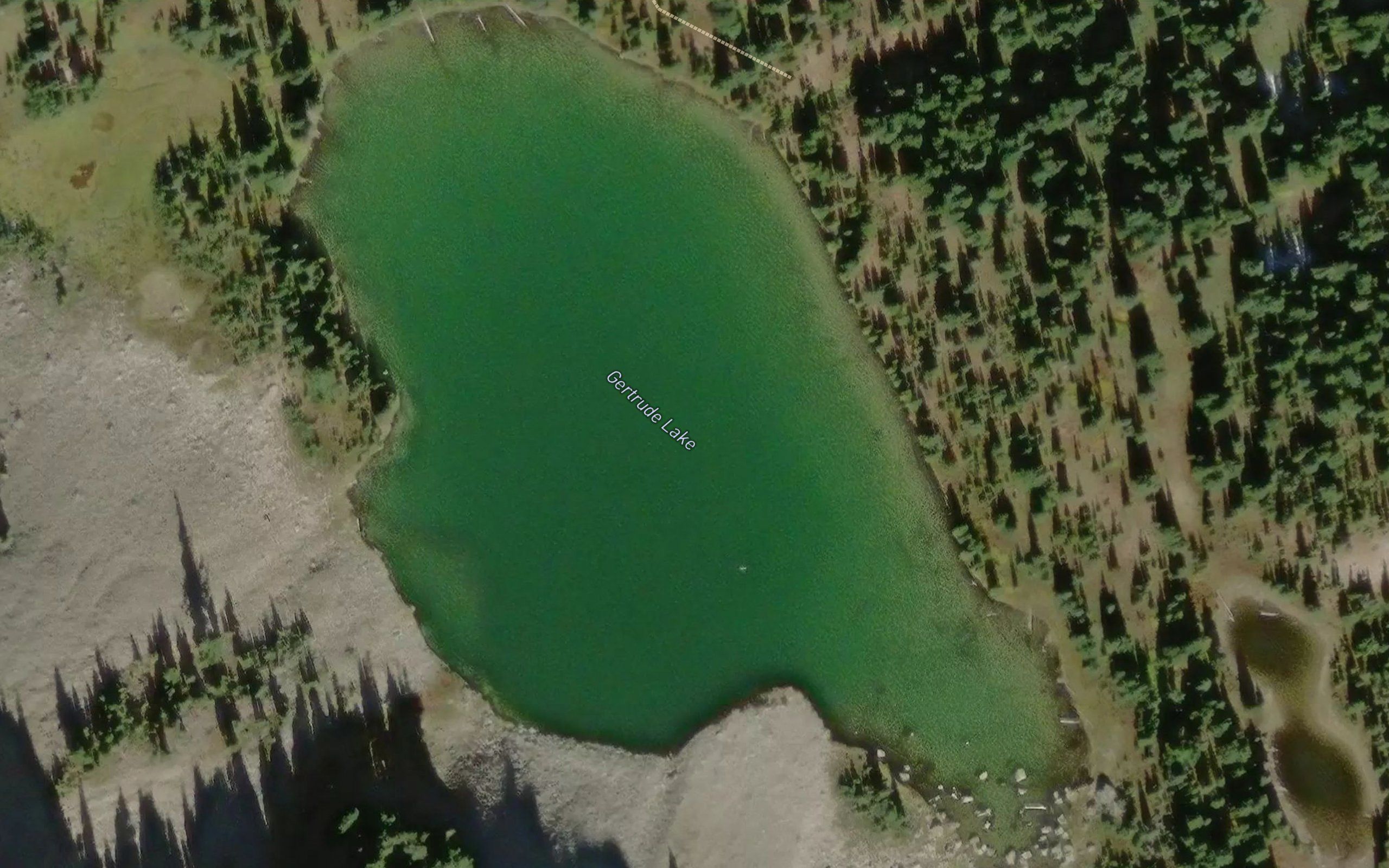 Gertrude Lake