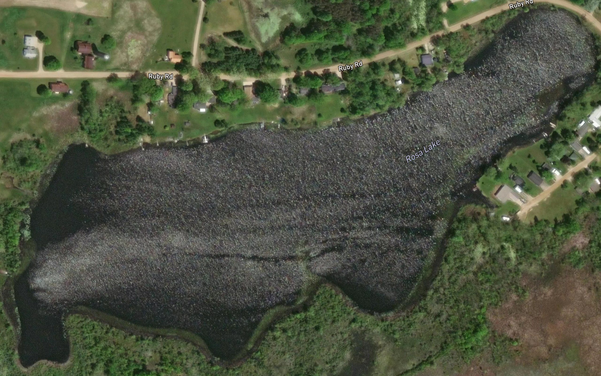 Rosa Lake