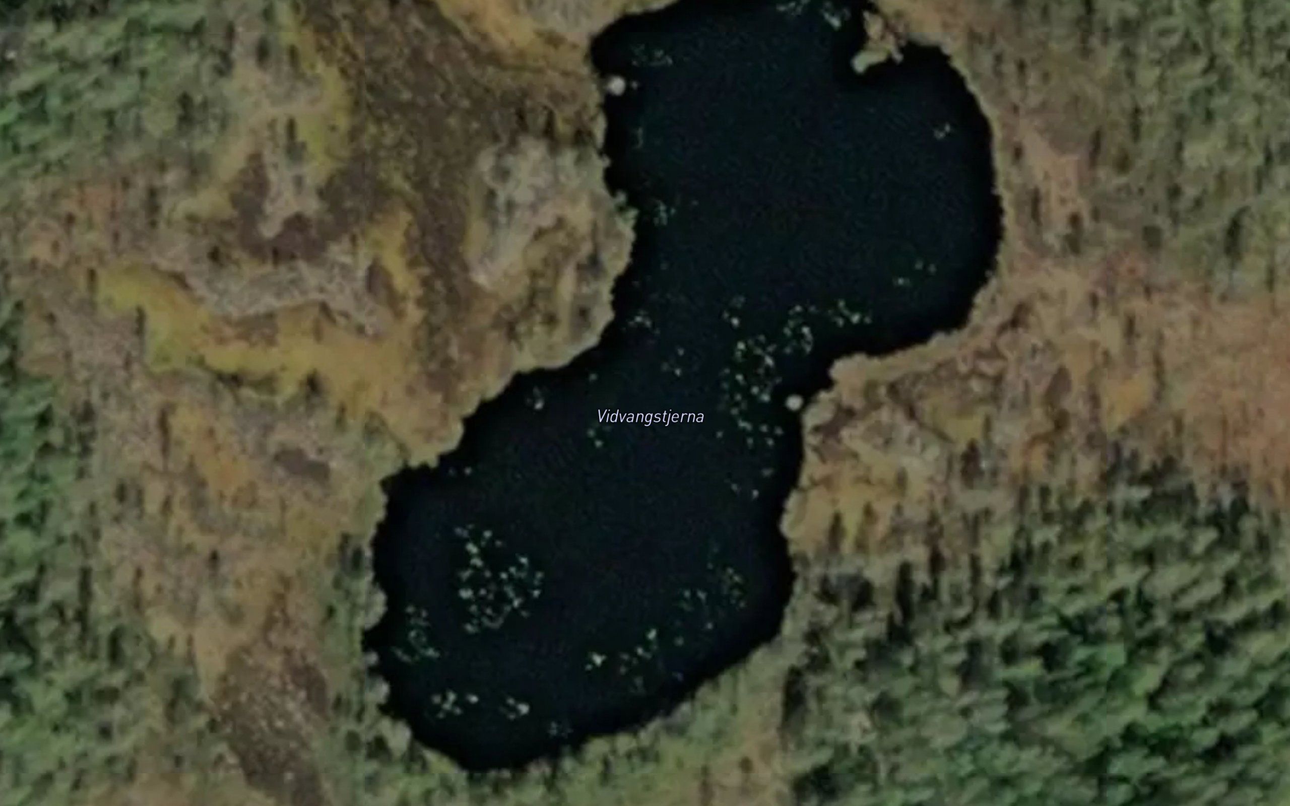 Vivangstjerna