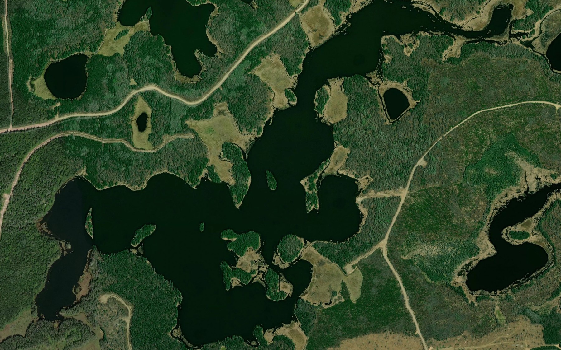 Satellite map of the South Oriole Lake