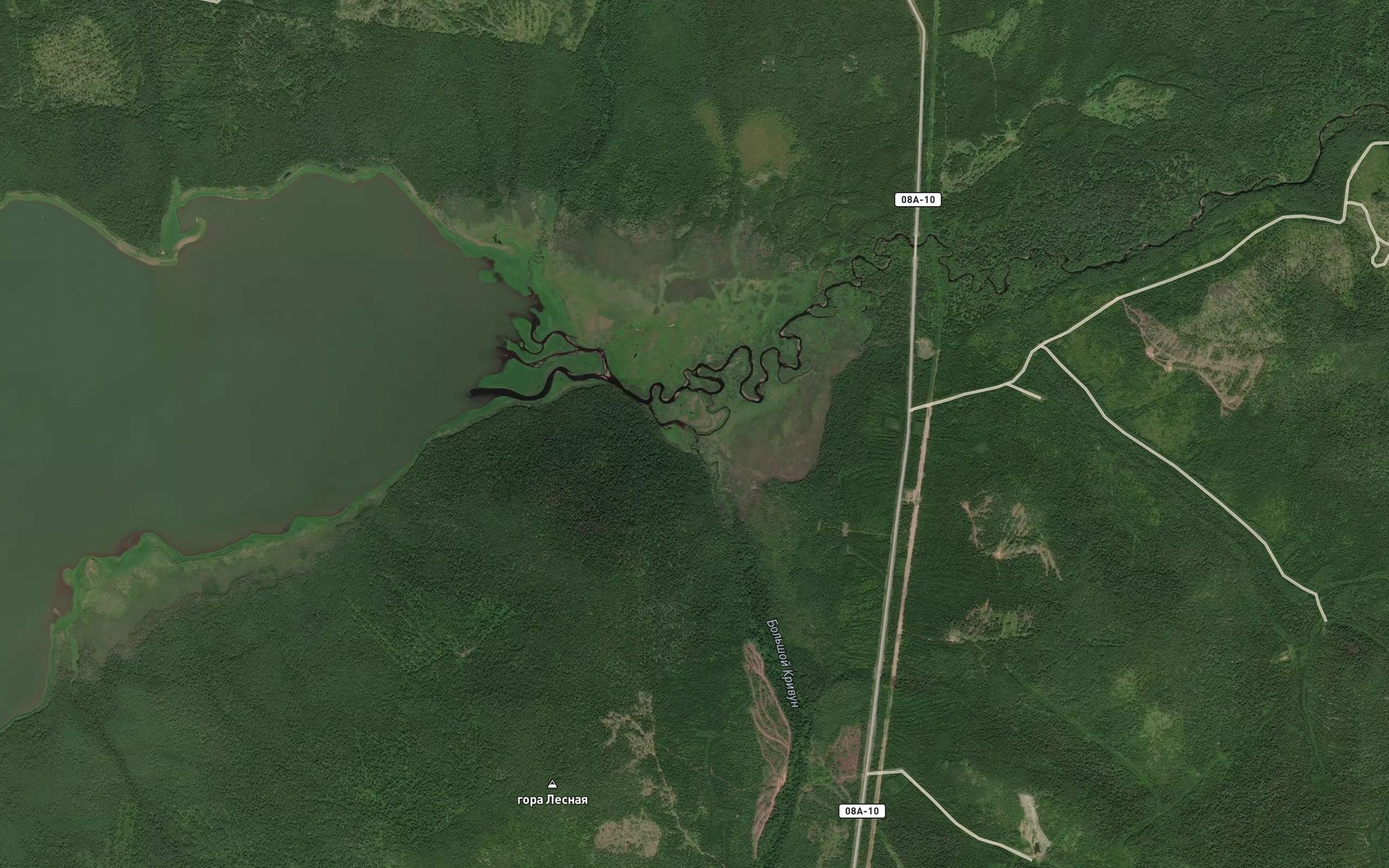 Satellite map of the Bol'shoy Krivun