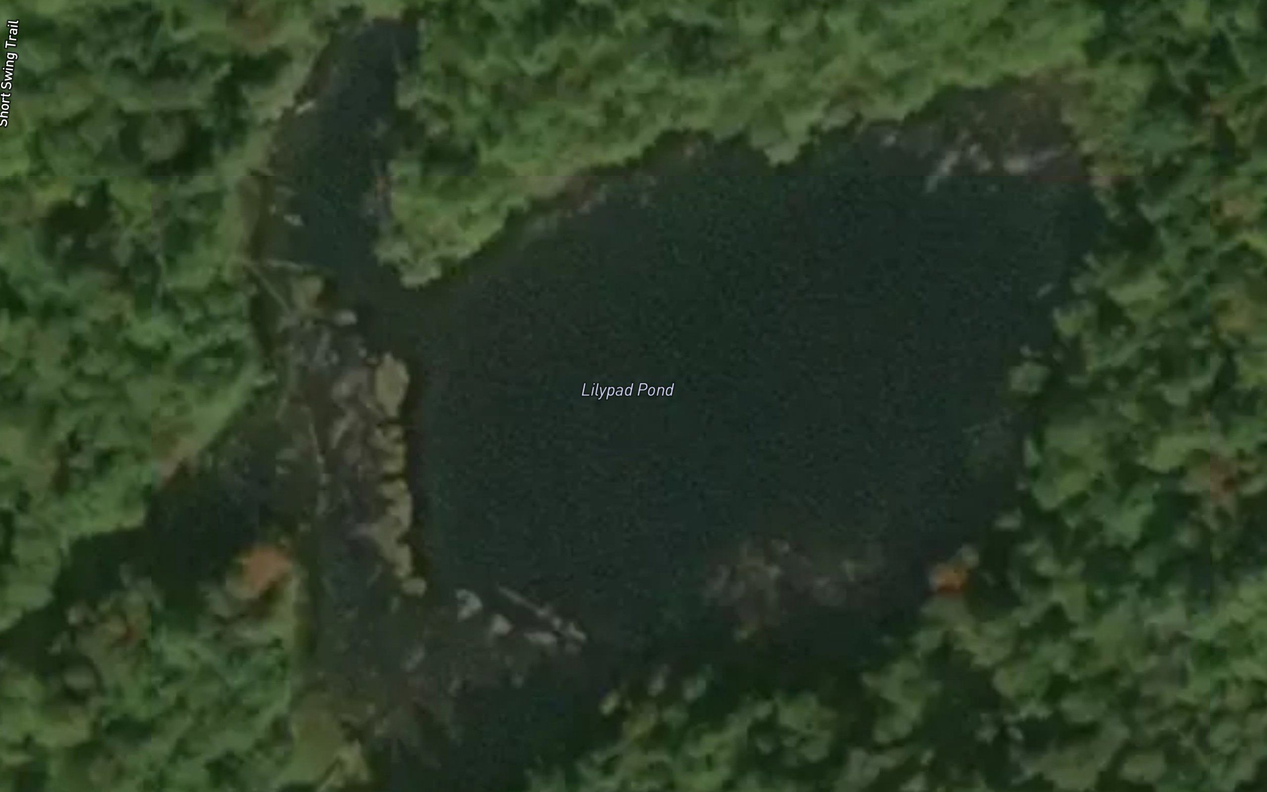 Lilypad Pond