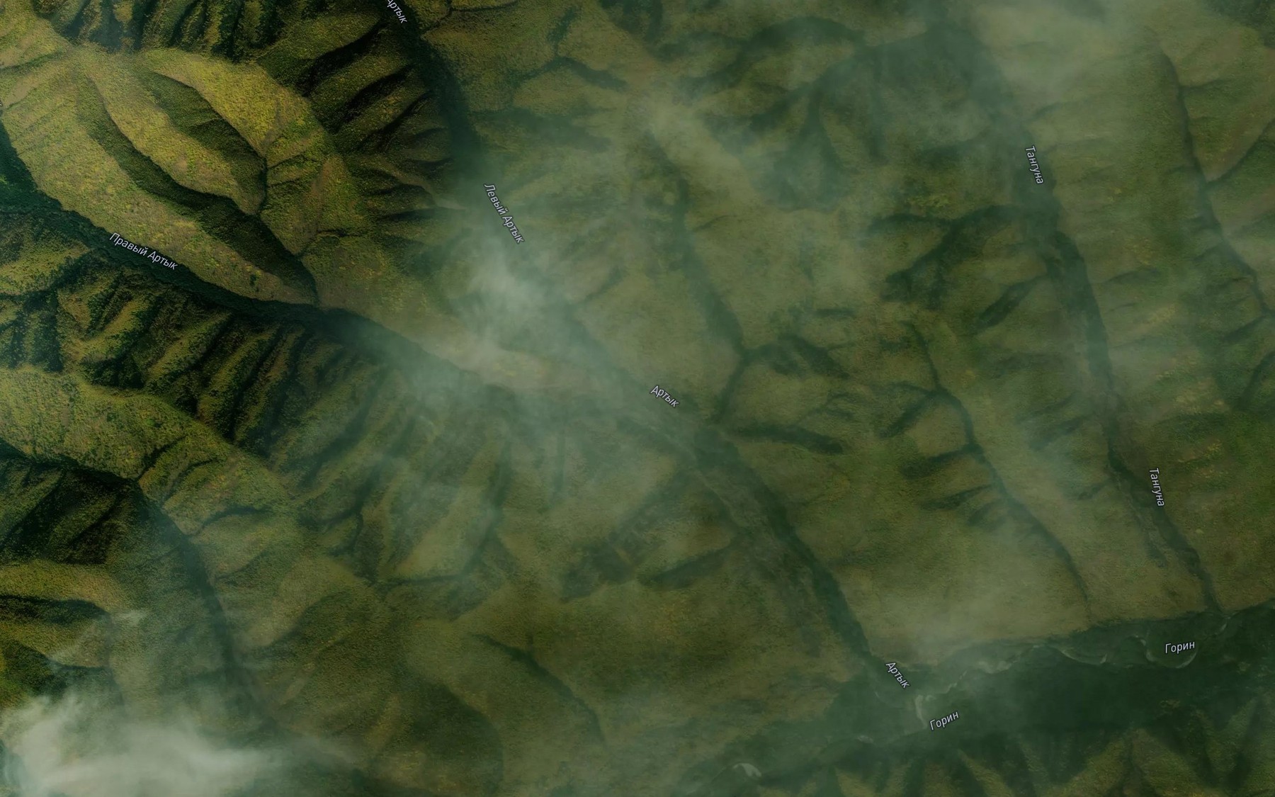 Satellite map of the Levyy Artyk