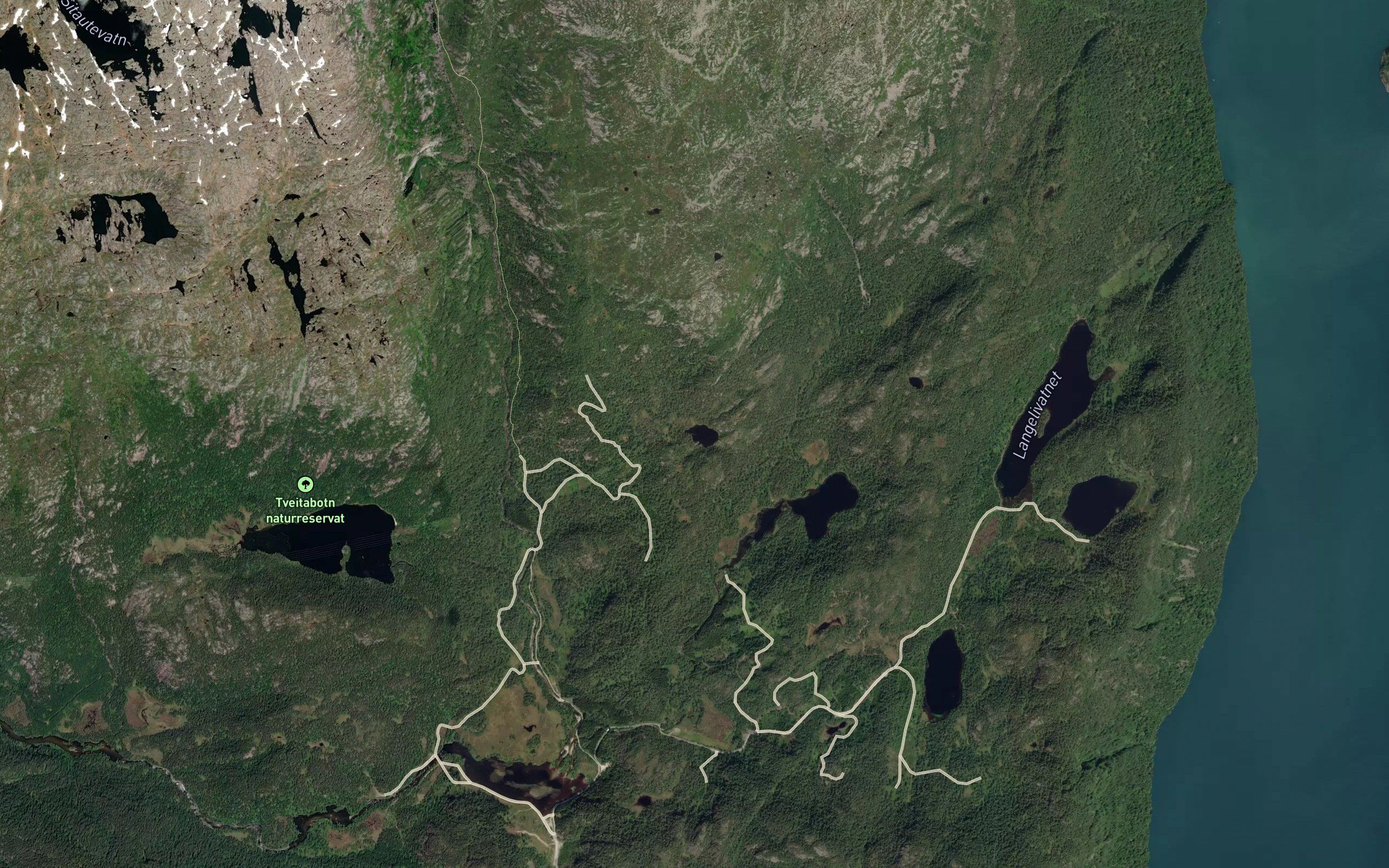 Guriflottjorna