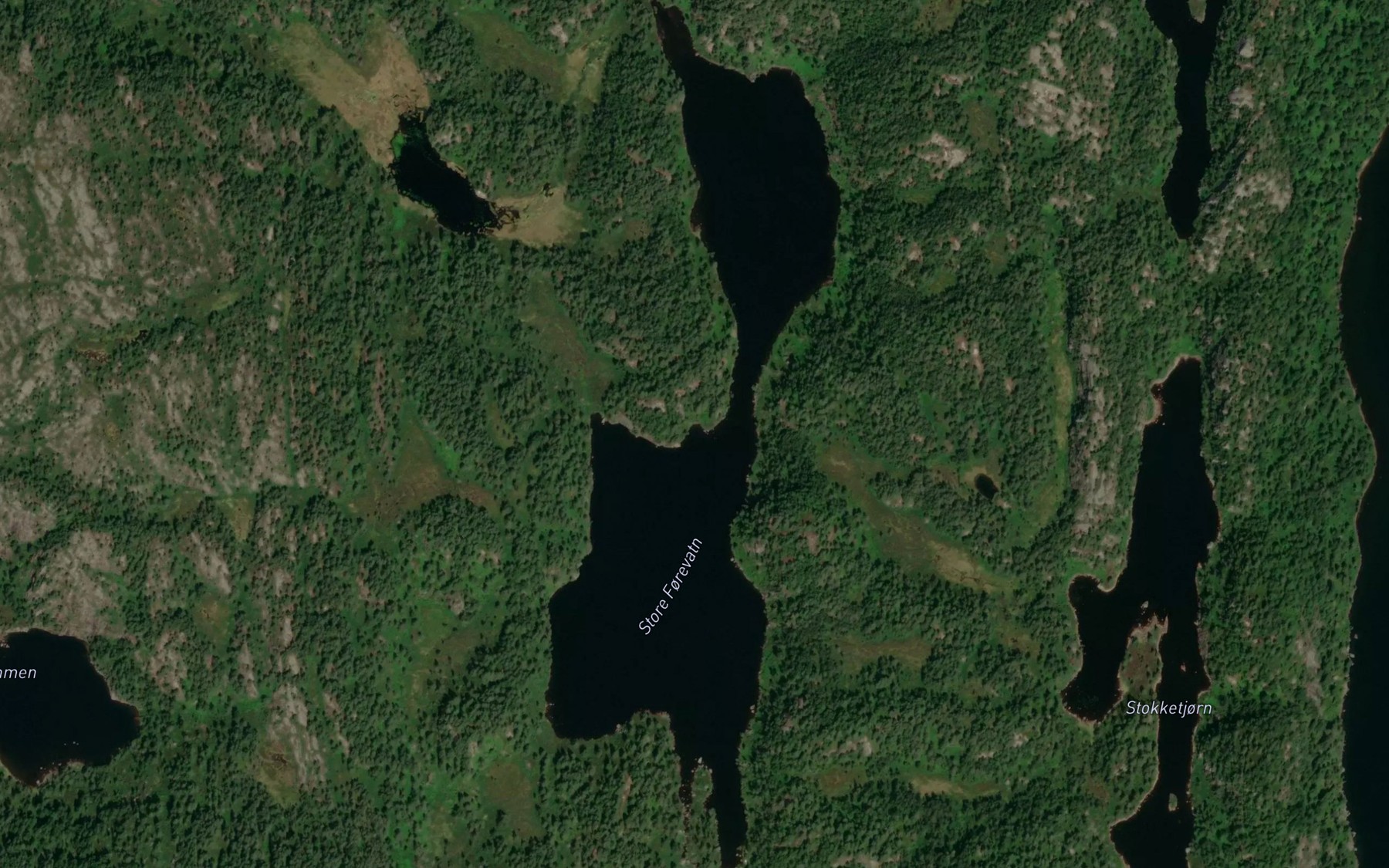 Satellite map of the Store Forevatn