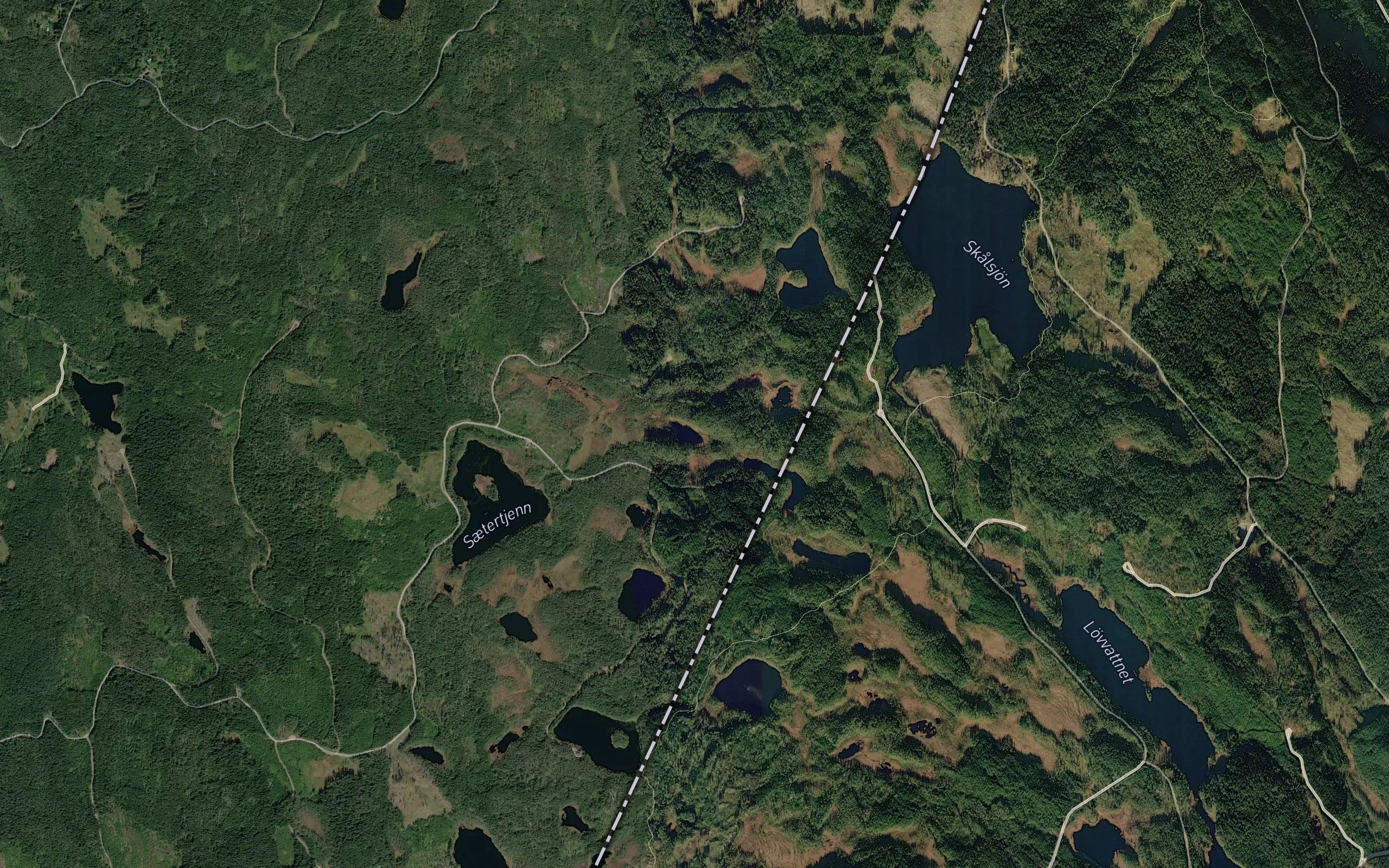 Grastjern
