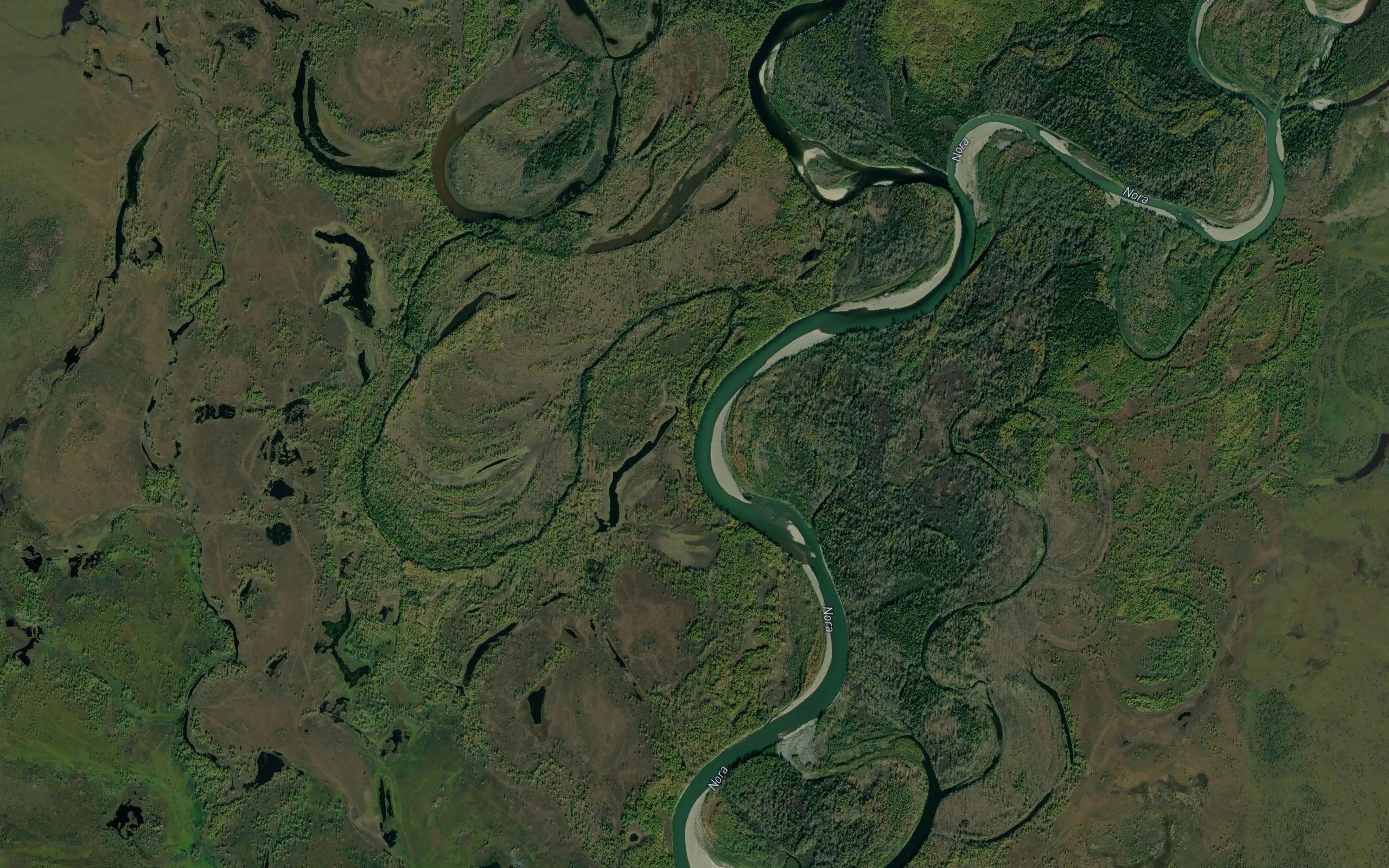Kutamanga
