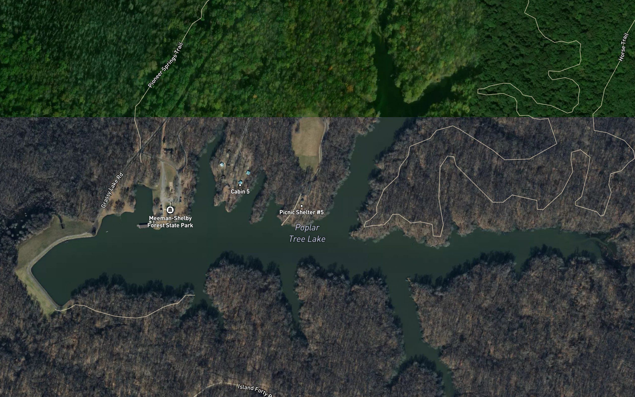 Poplar Tree Lake