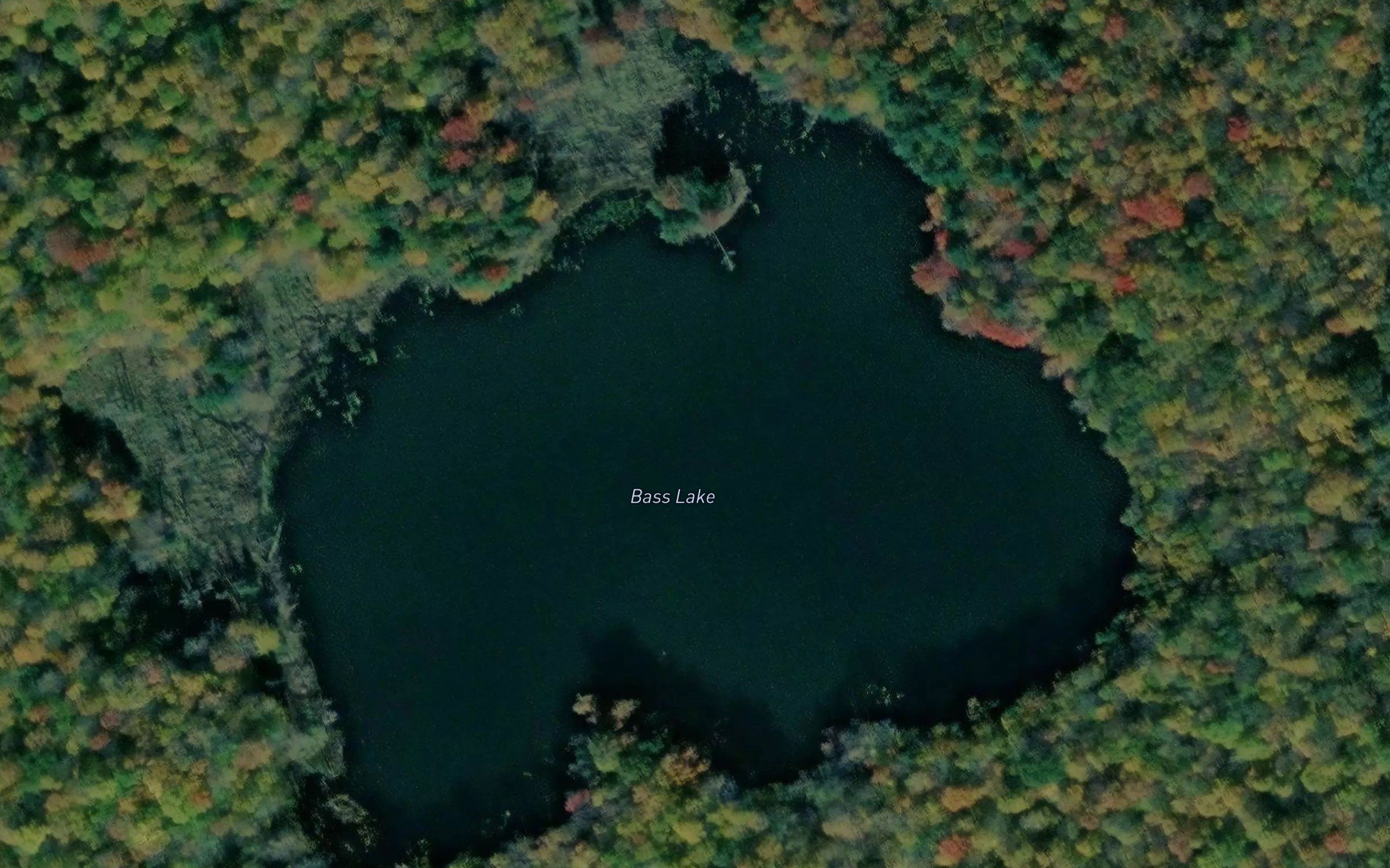 Bass Lake