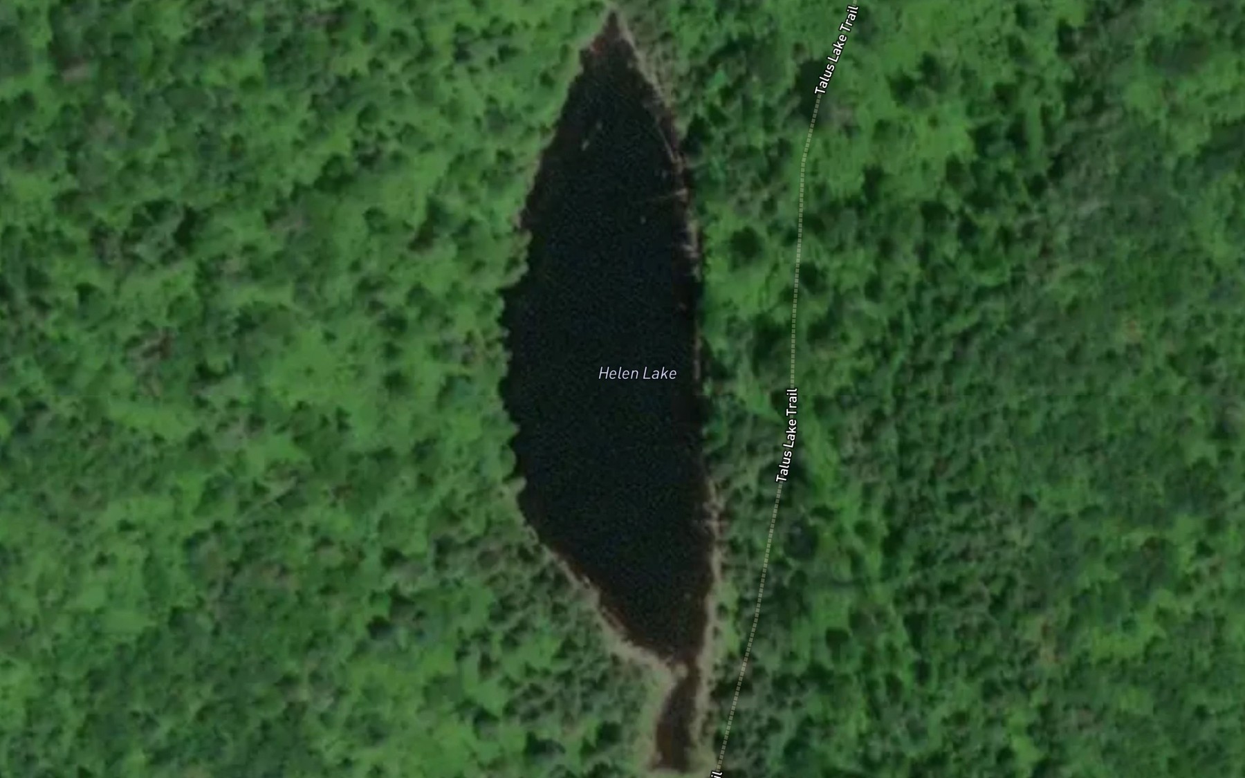 Satellite map of the Helen Lake