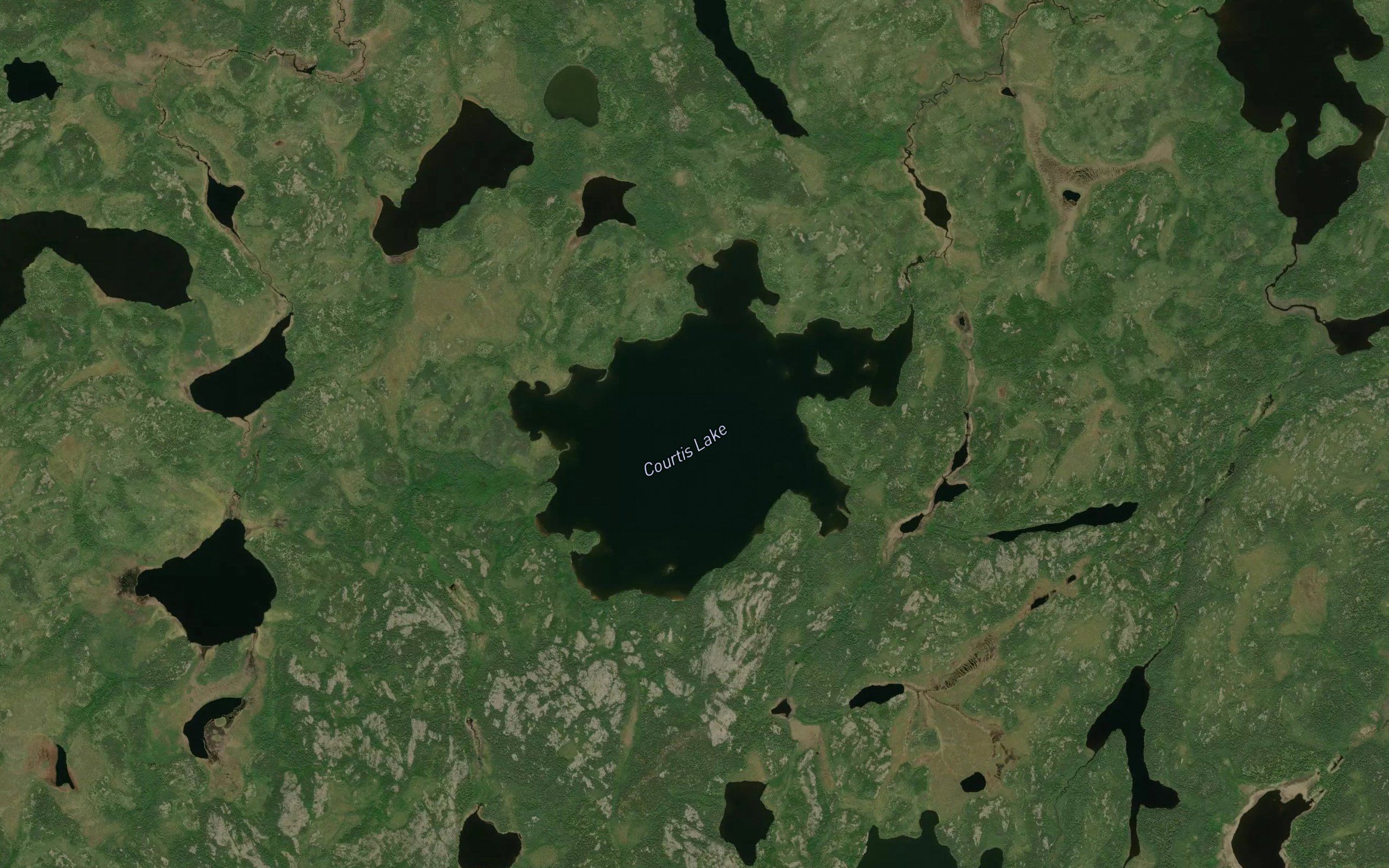Courtis Lake