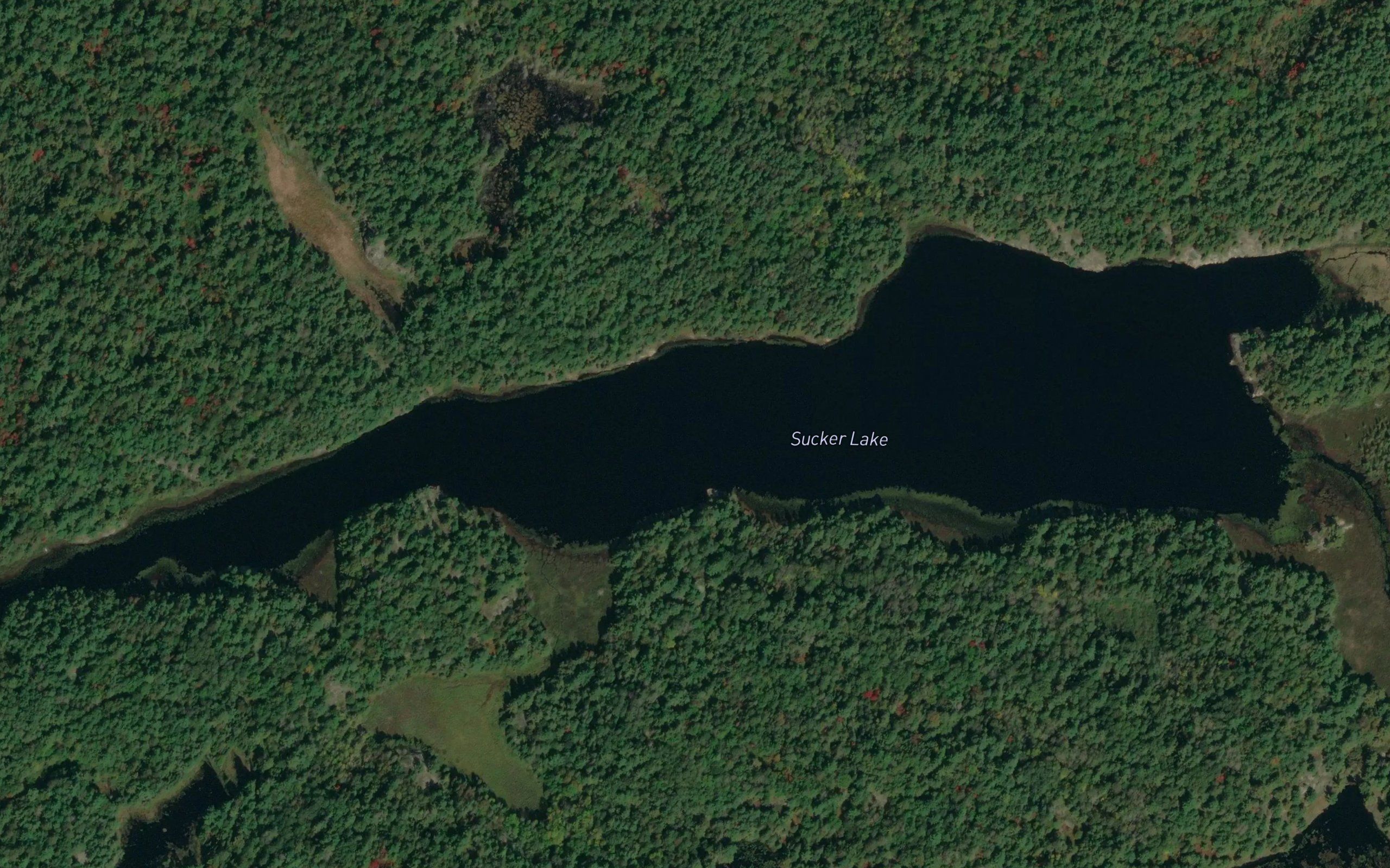 Sucker Lake