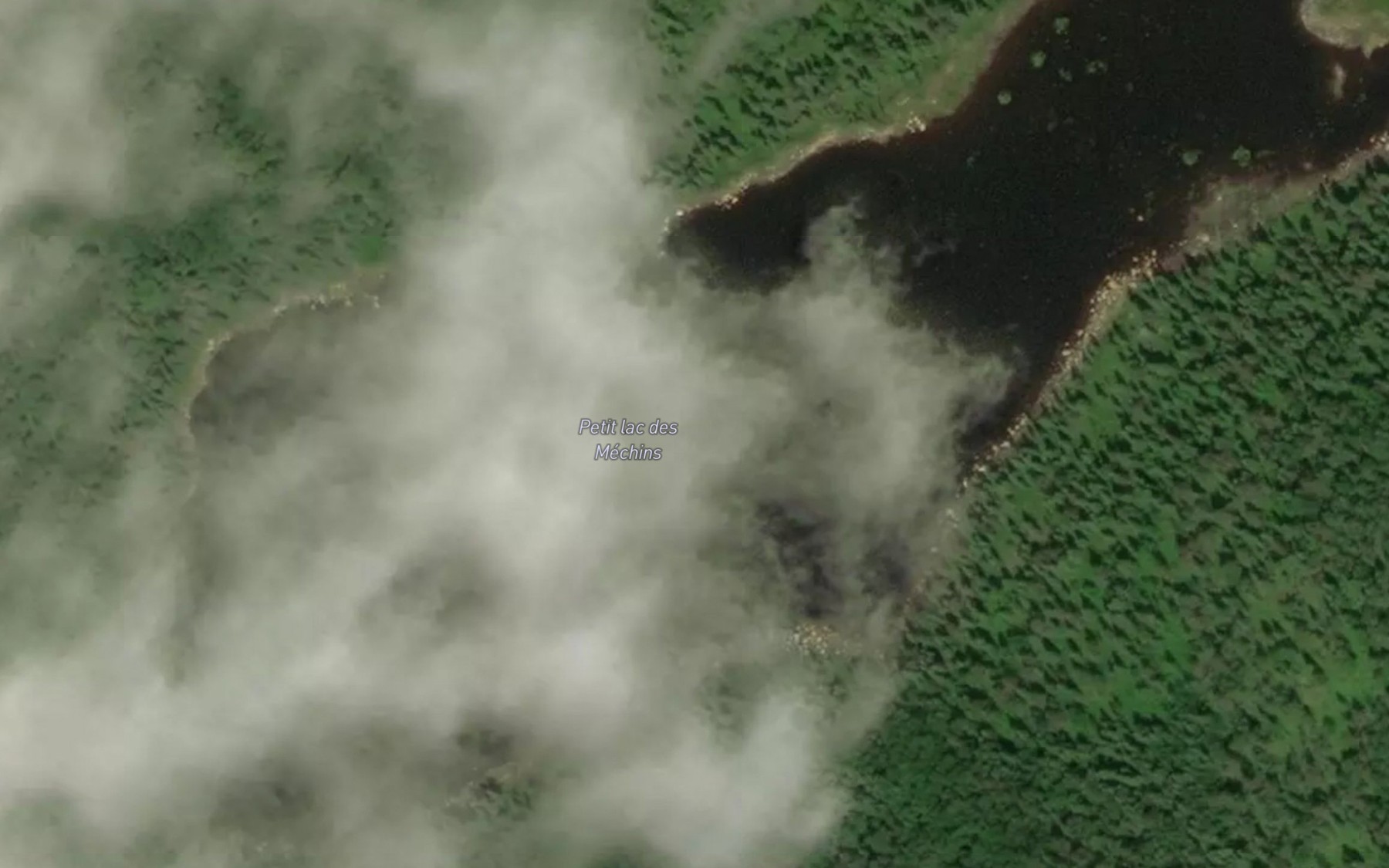 Satellite map of the Petit lac des Mechins