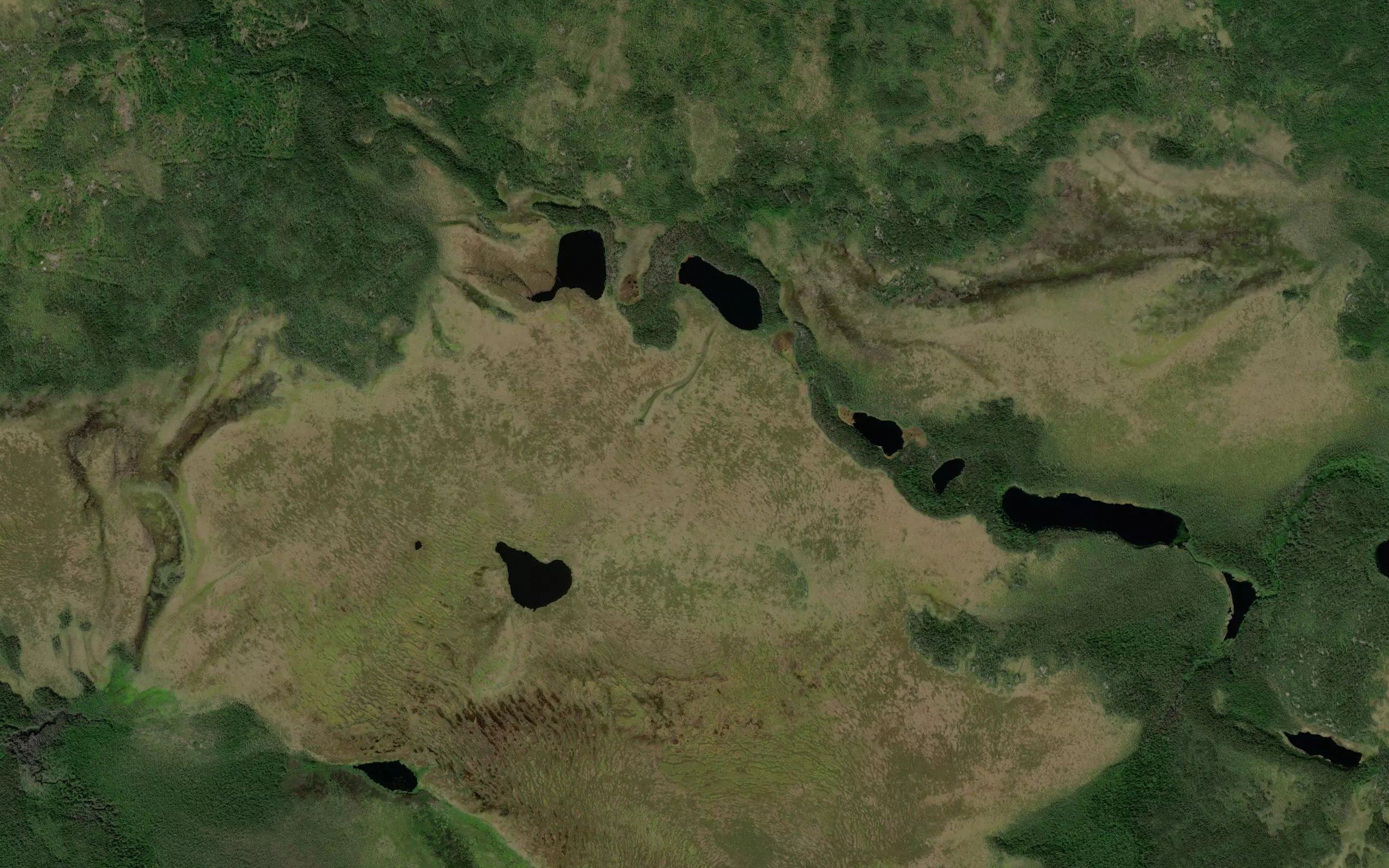 Ozero Chernoye