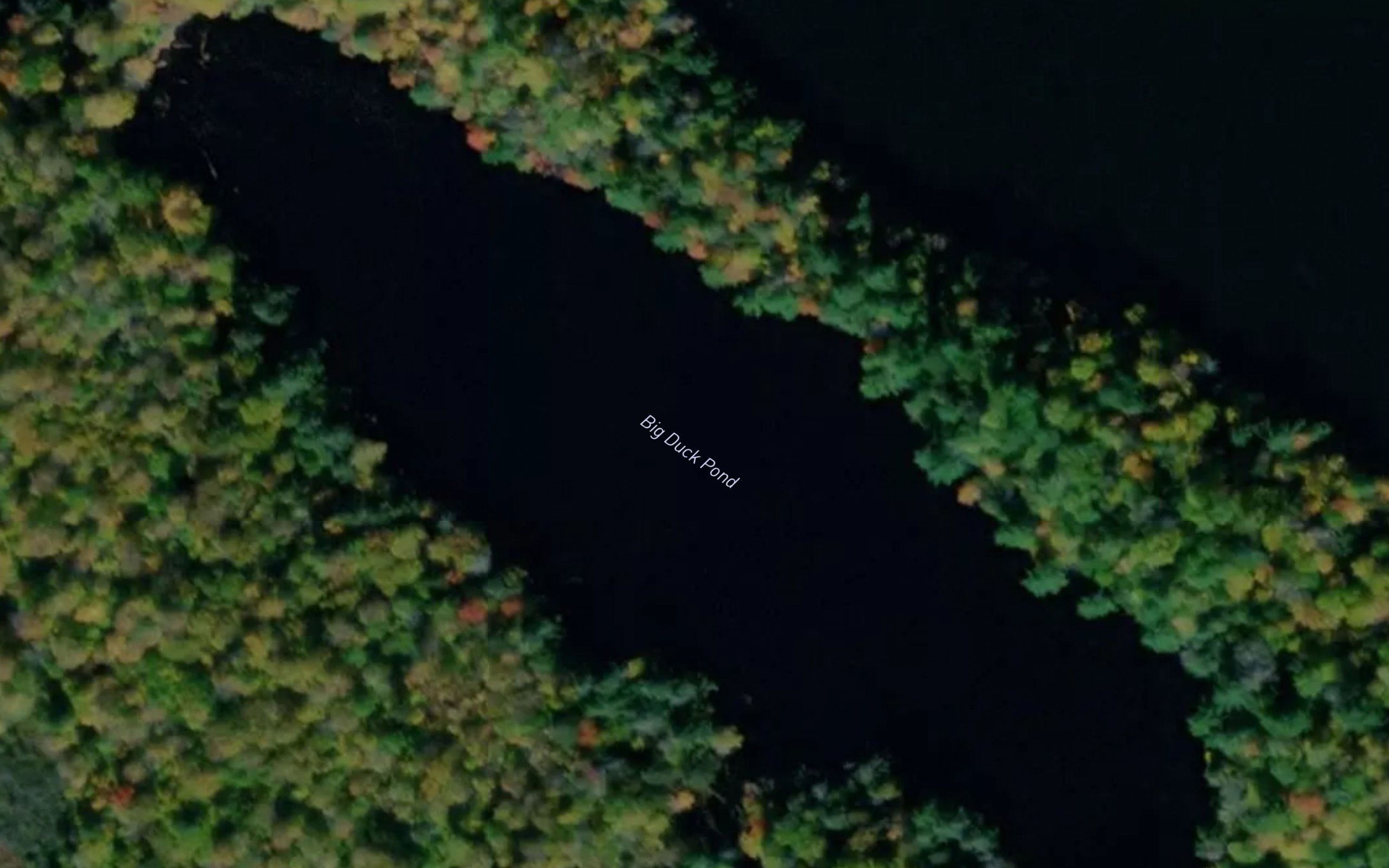 Big Duck Pond