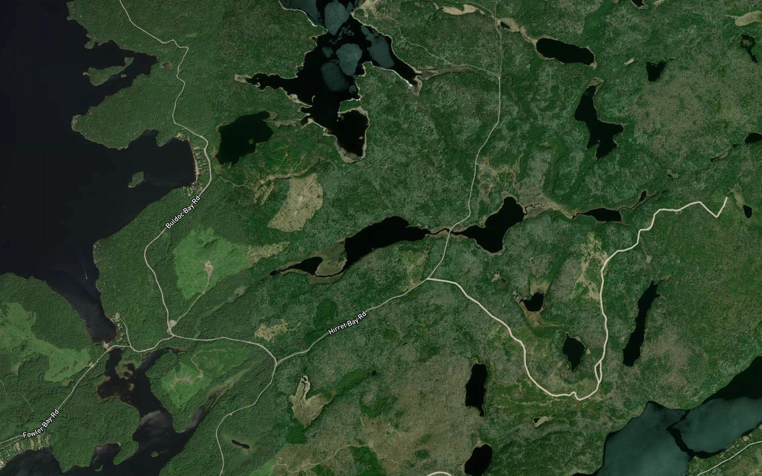 Freed Lake