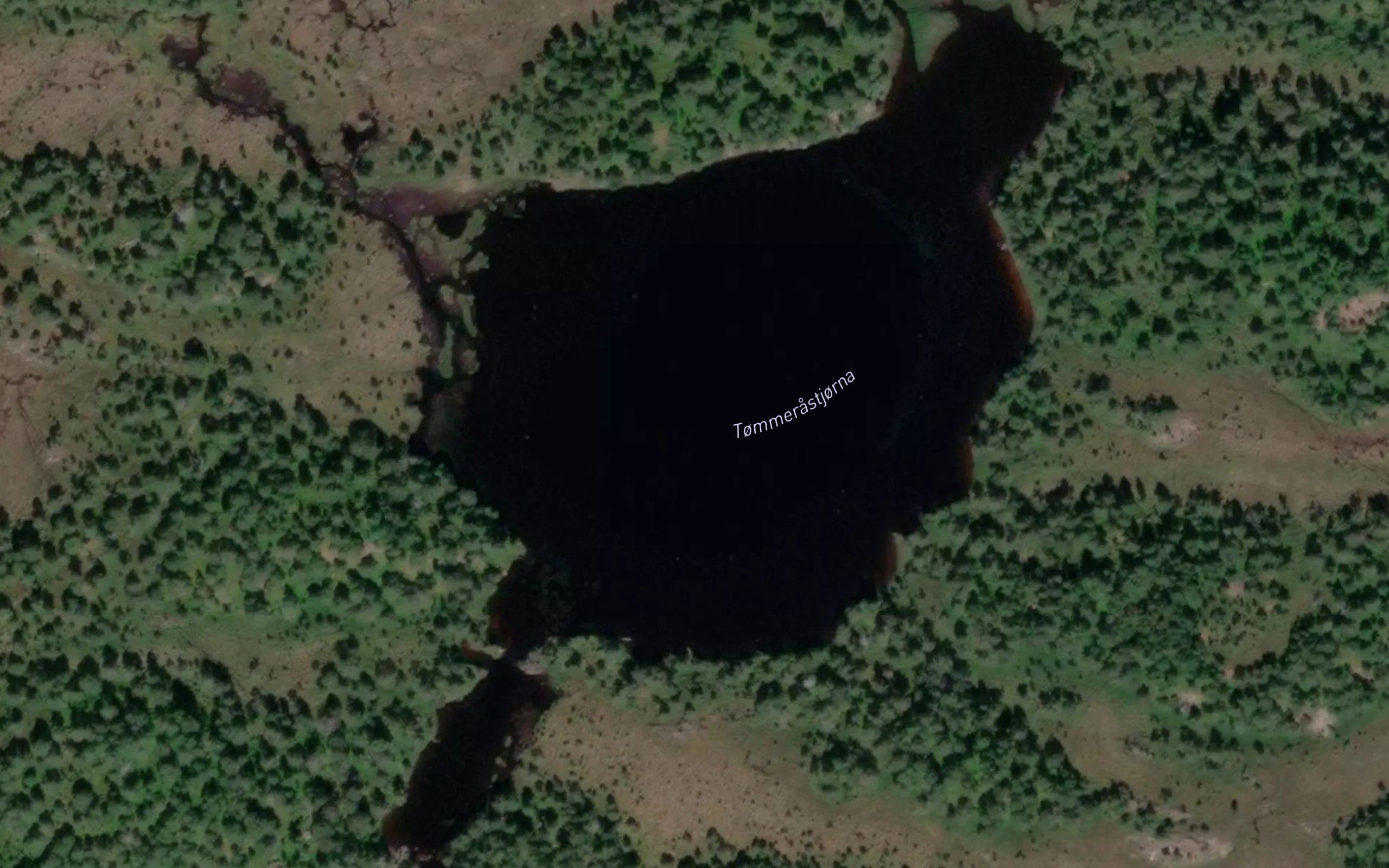 Tommerasdammen