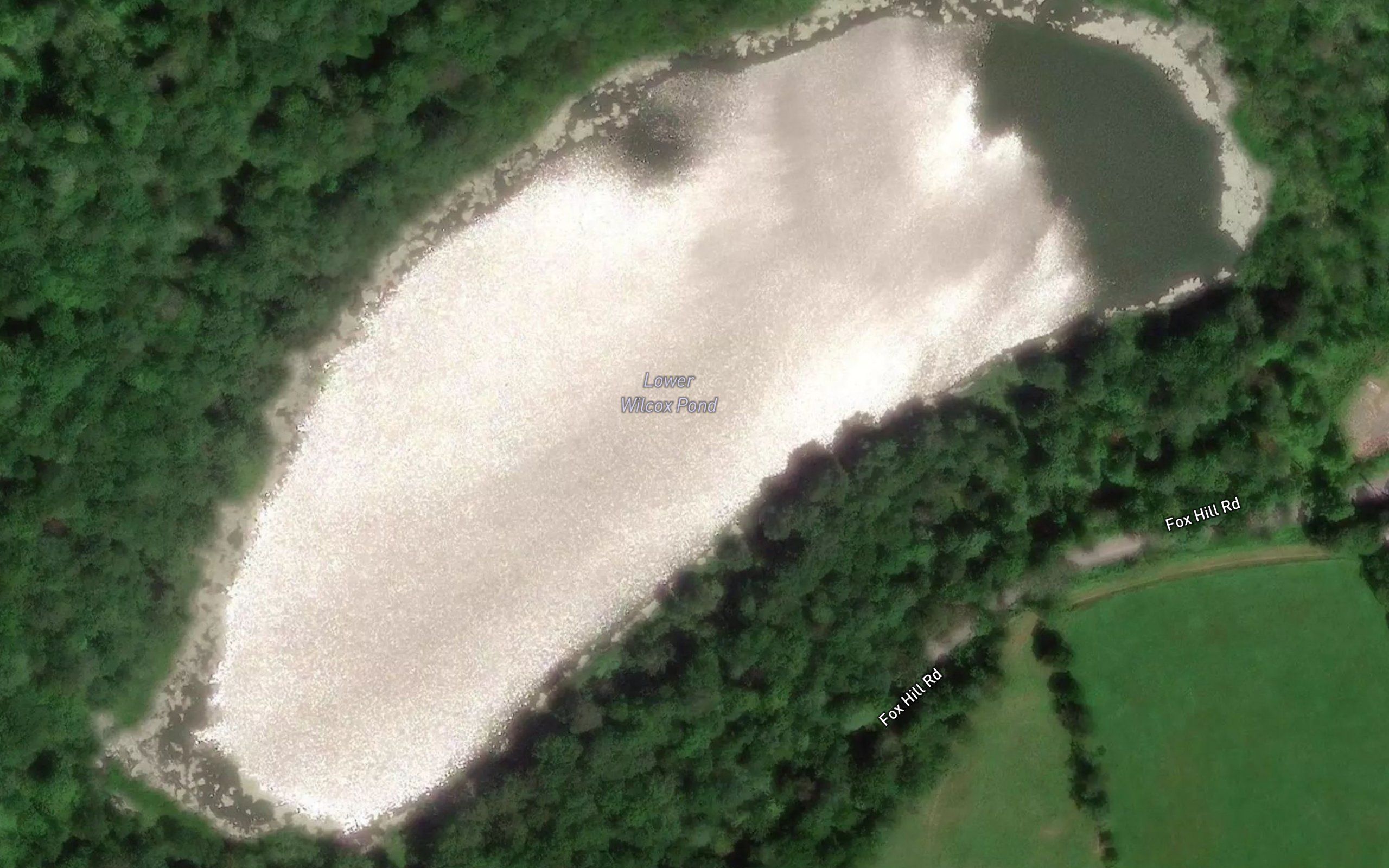 Lower Wilcox Pond