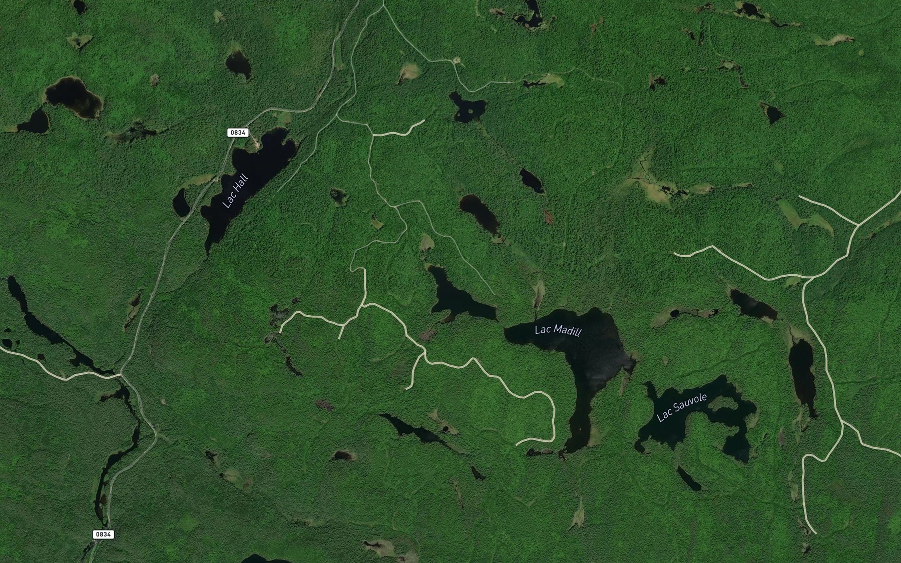 Satellite map of the Lac Fripp