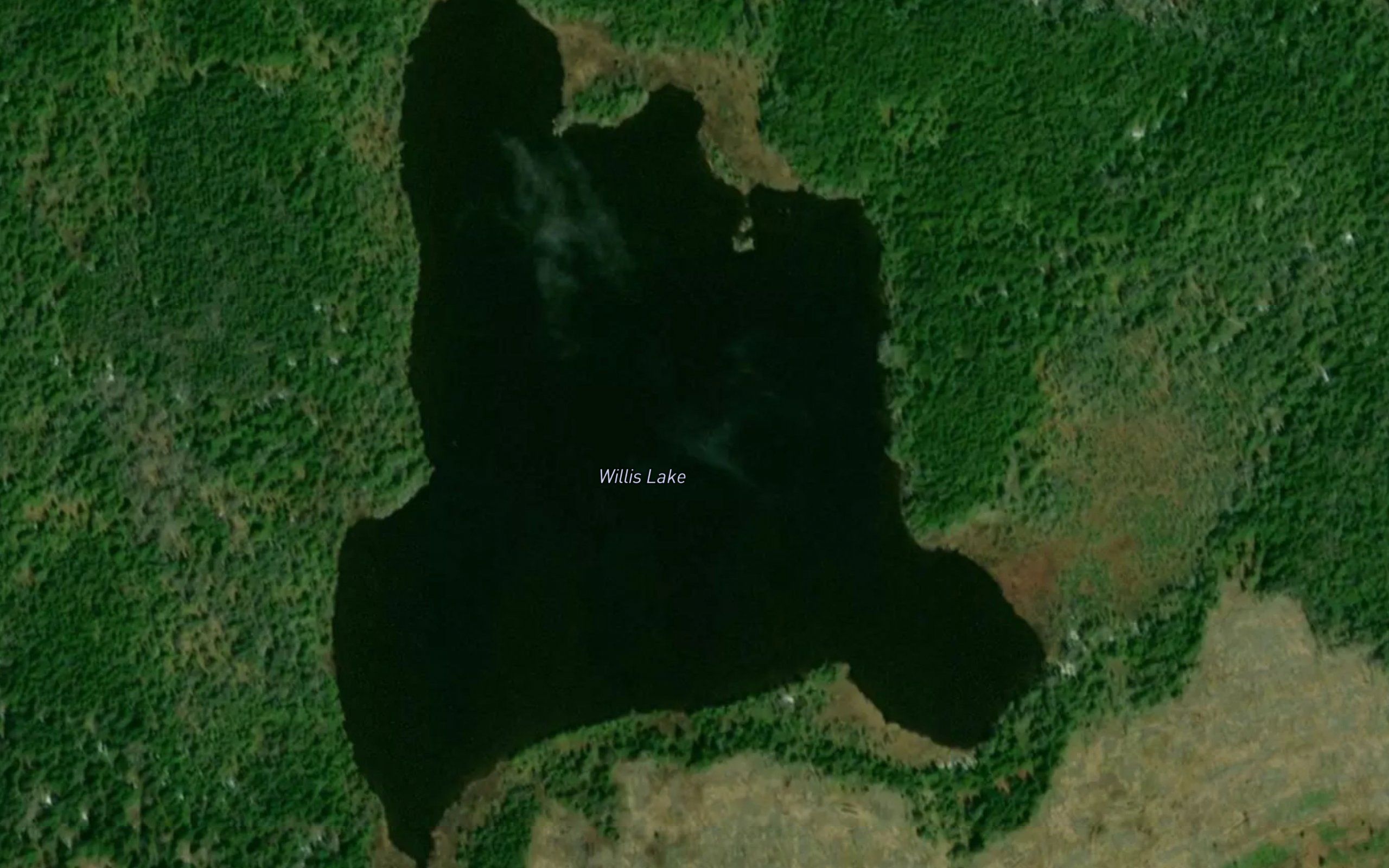 Willis Lake