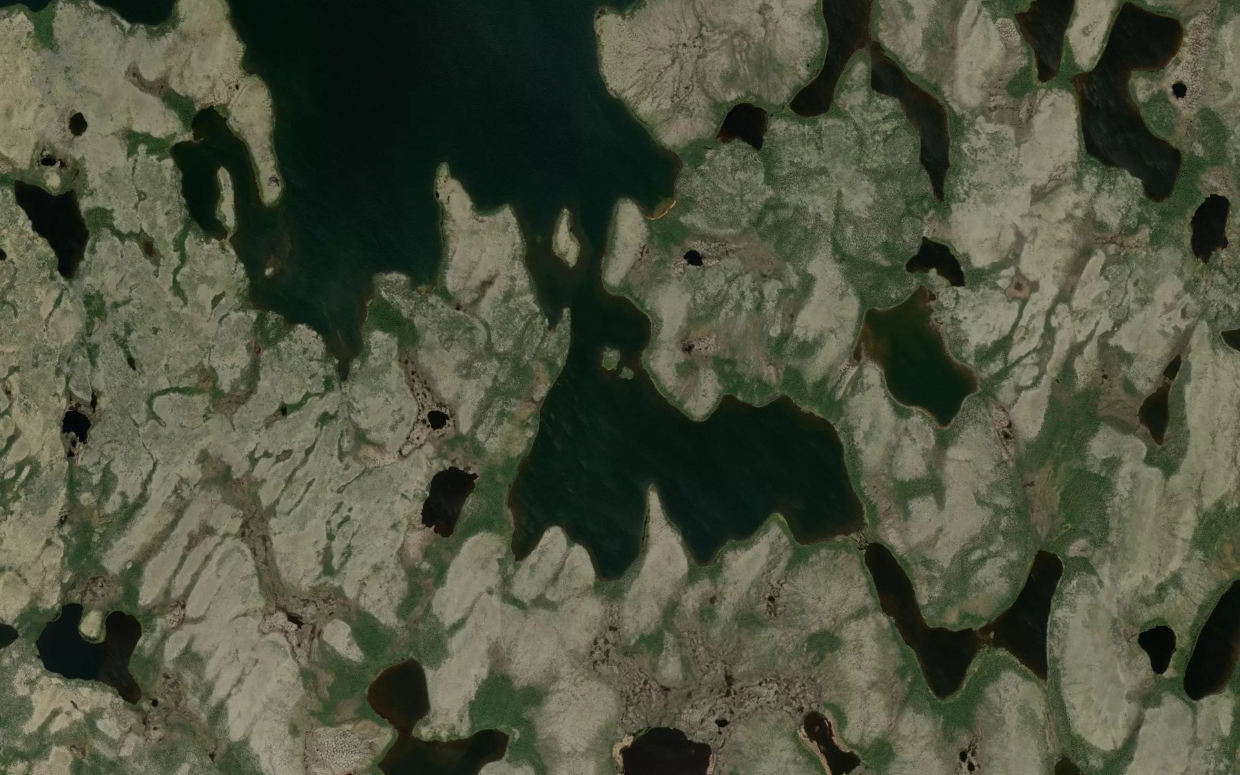 Satellite map of the Foster Bay