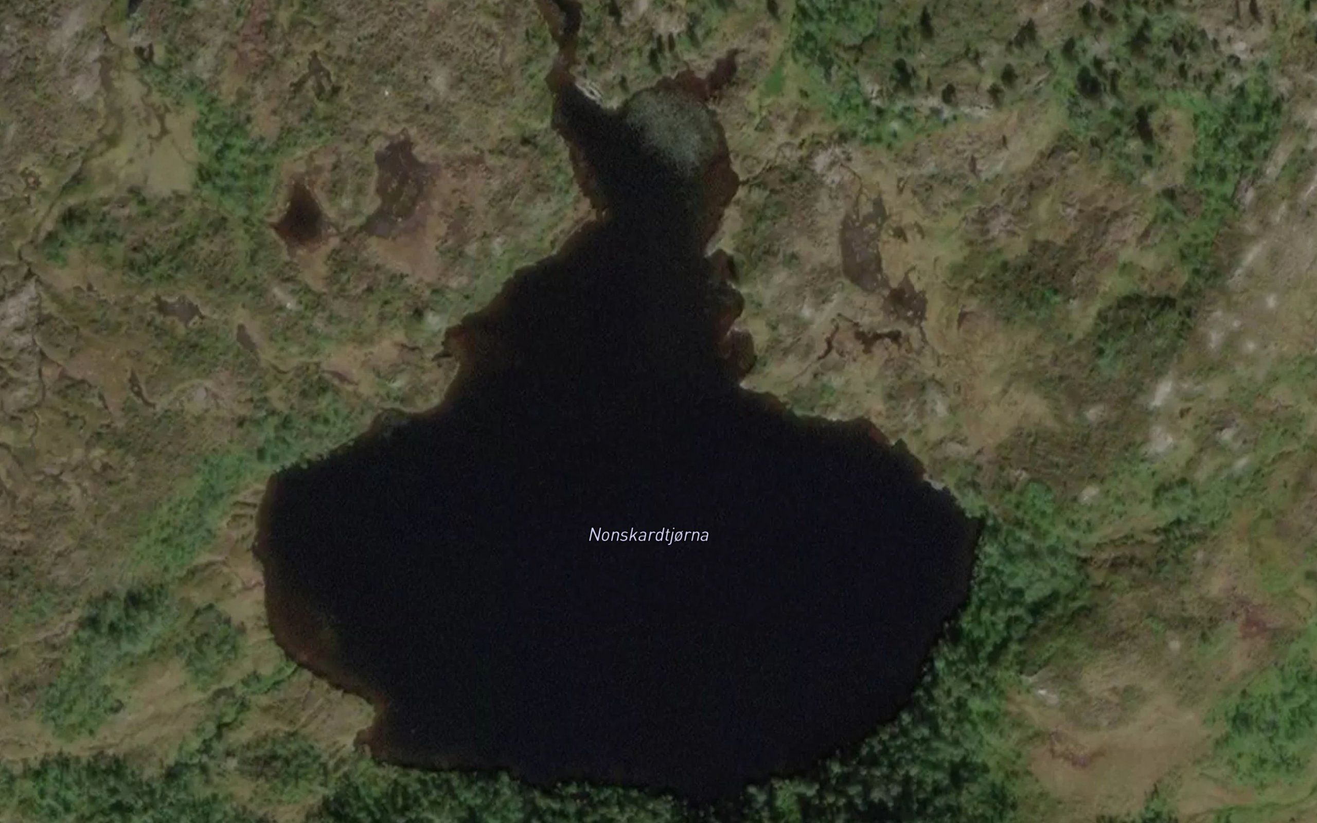 Nonskardtjorna