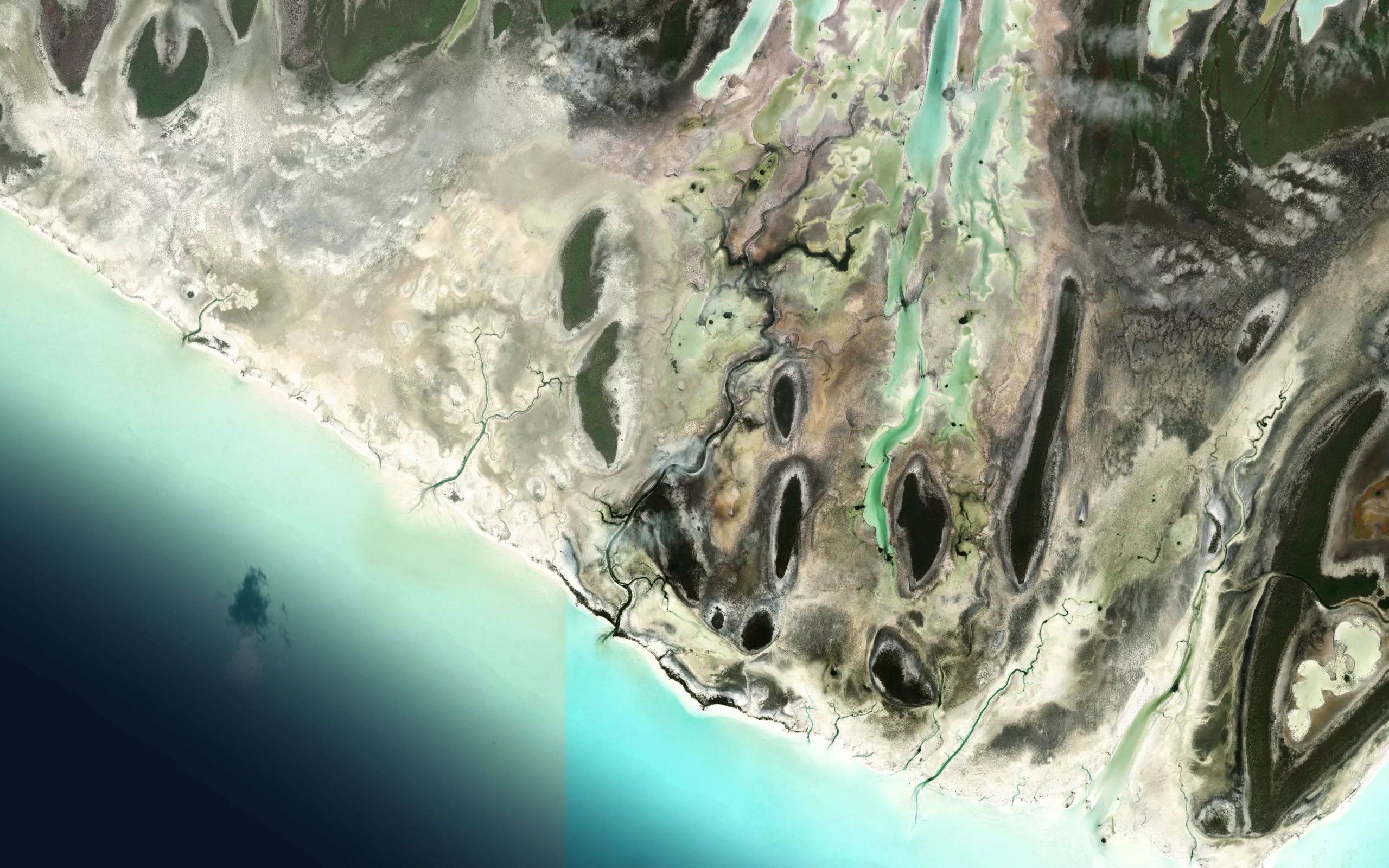 Pelican Creek