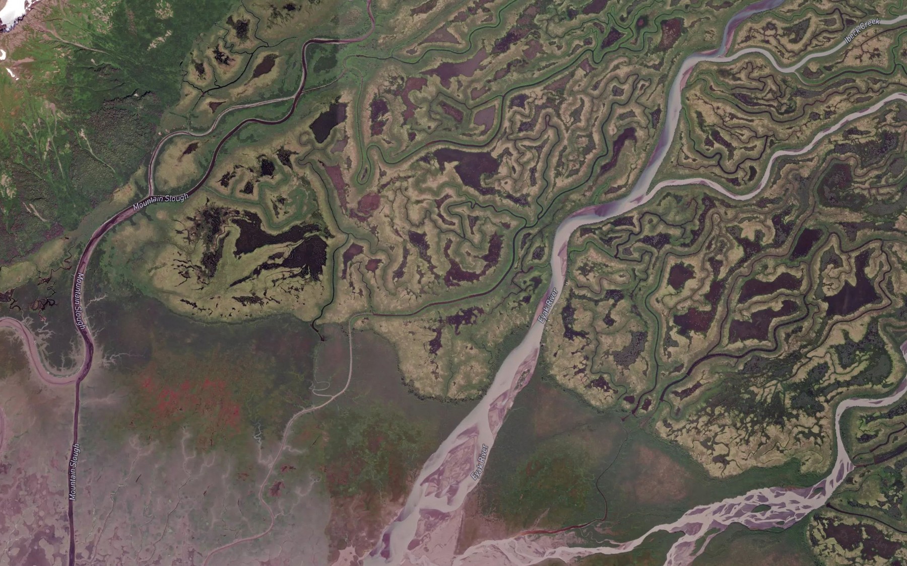 Satellite map of the Center Slough