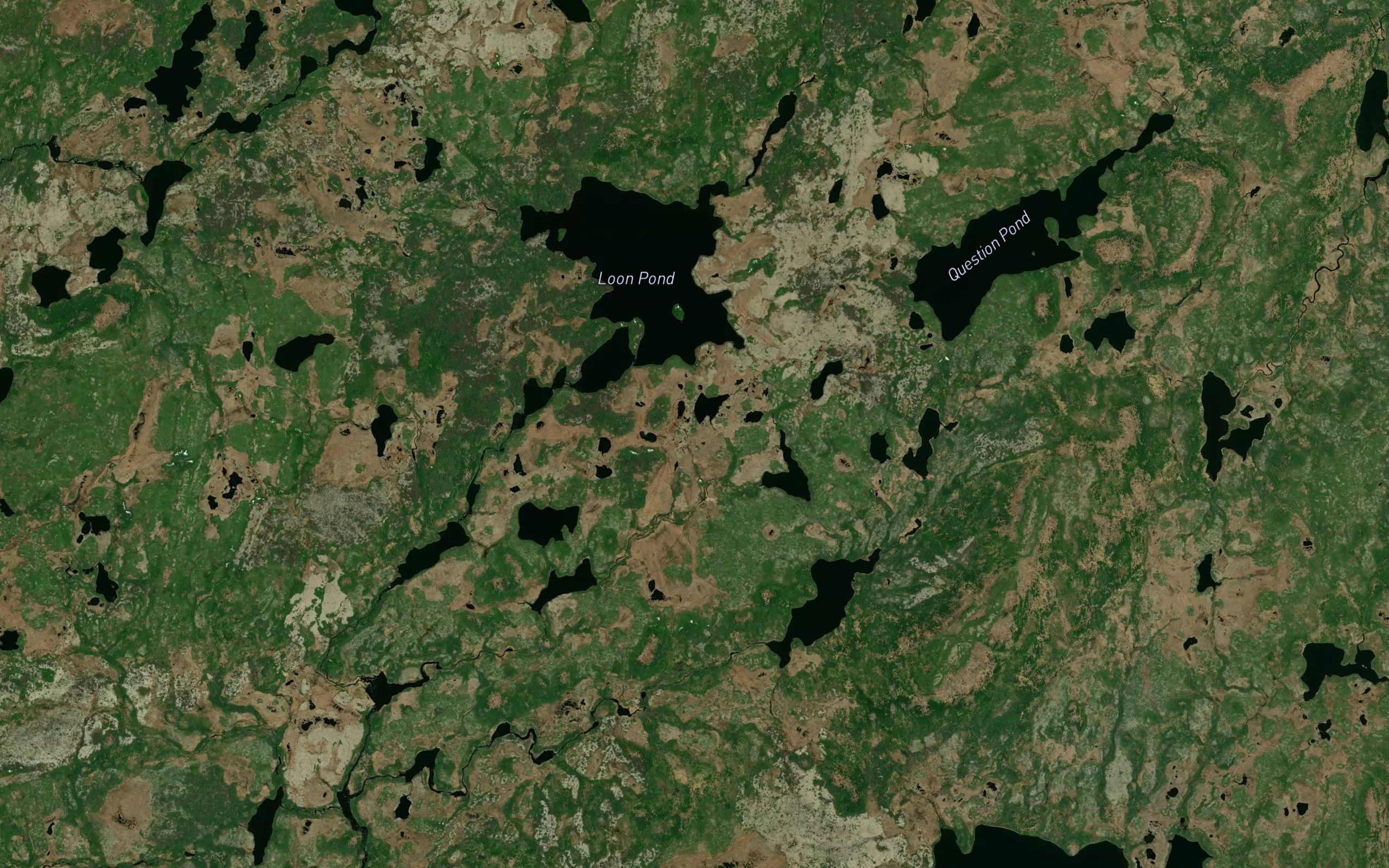 Loon Pond
