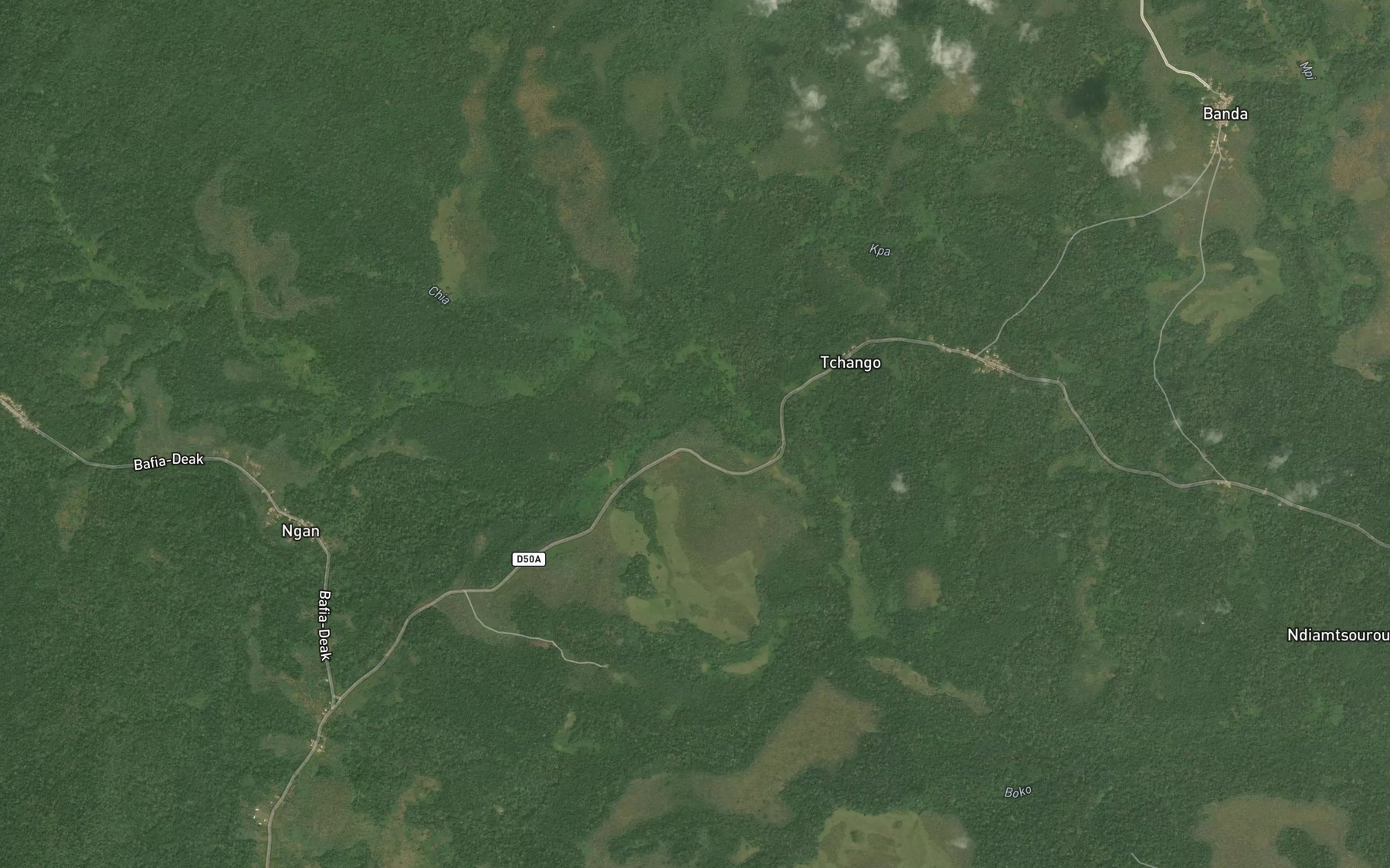 Satellite map of the Gouo