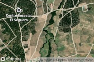 Arroyo de Valdealguis