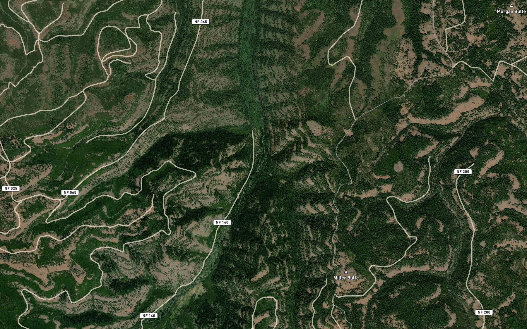 Satellite map of the Tyee Creek