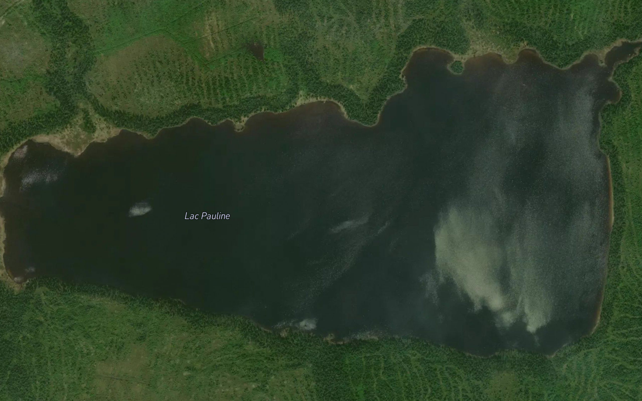 Lac Pauline