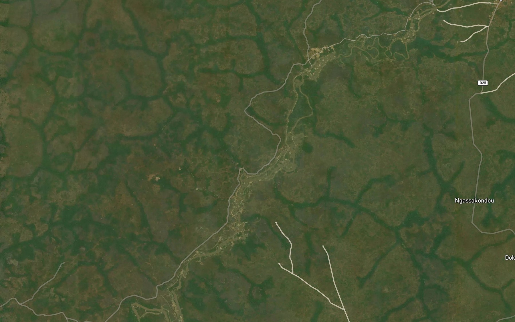 Satellite map of the Yongbago