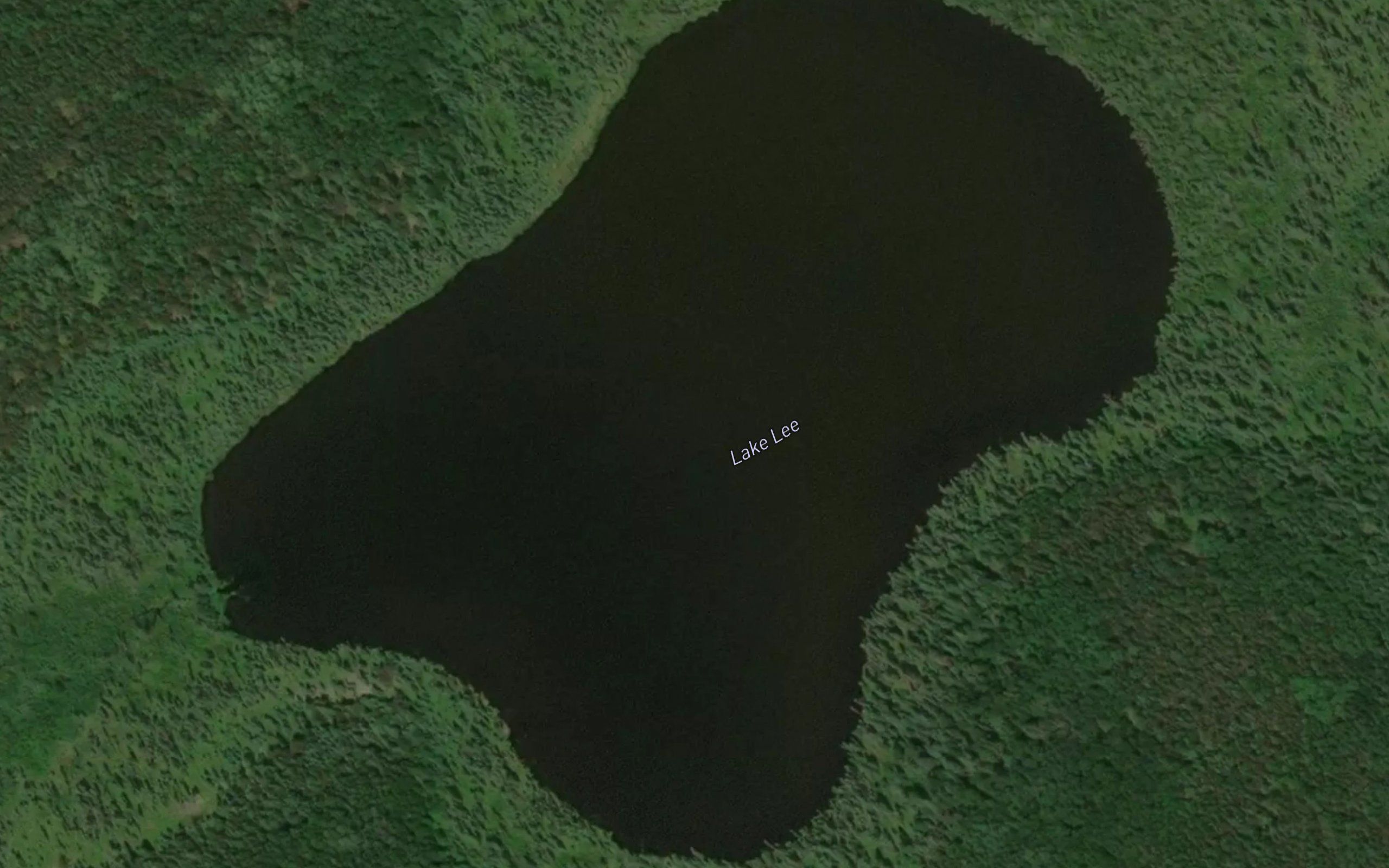 Lake Lee