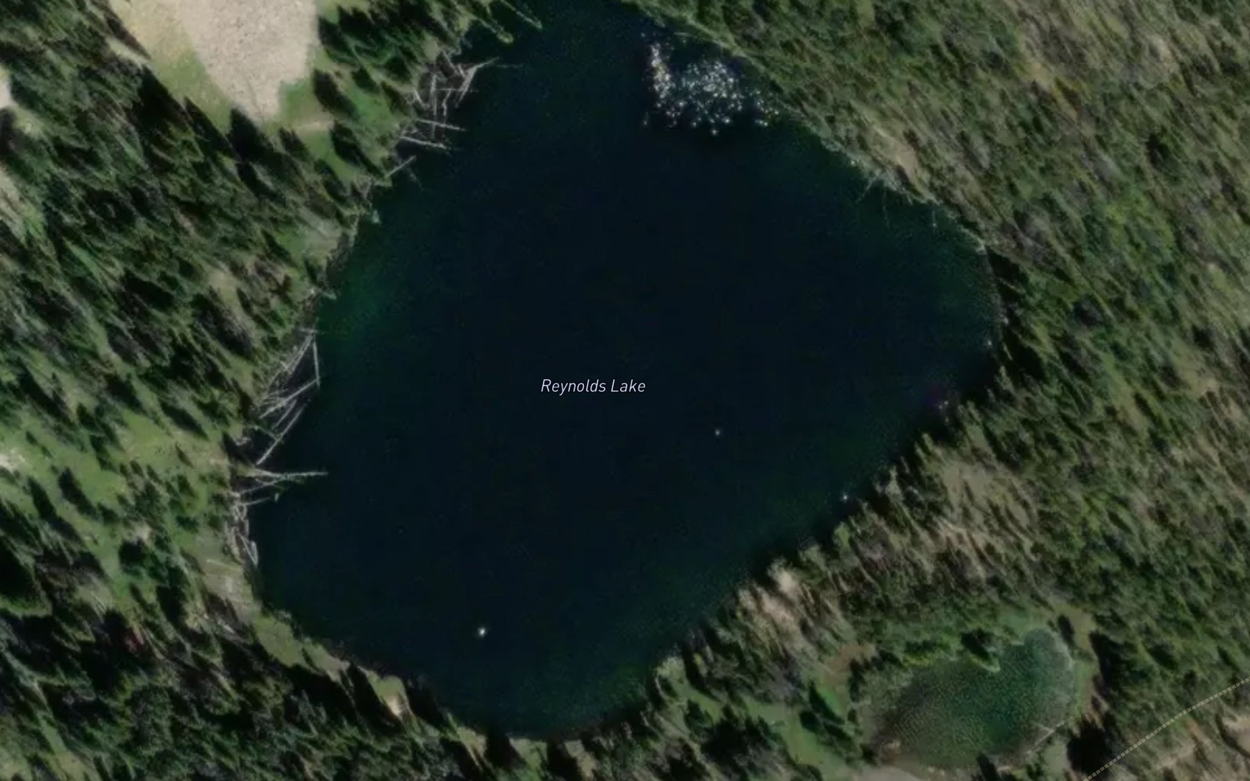Satellite map of the Reynolds Lake