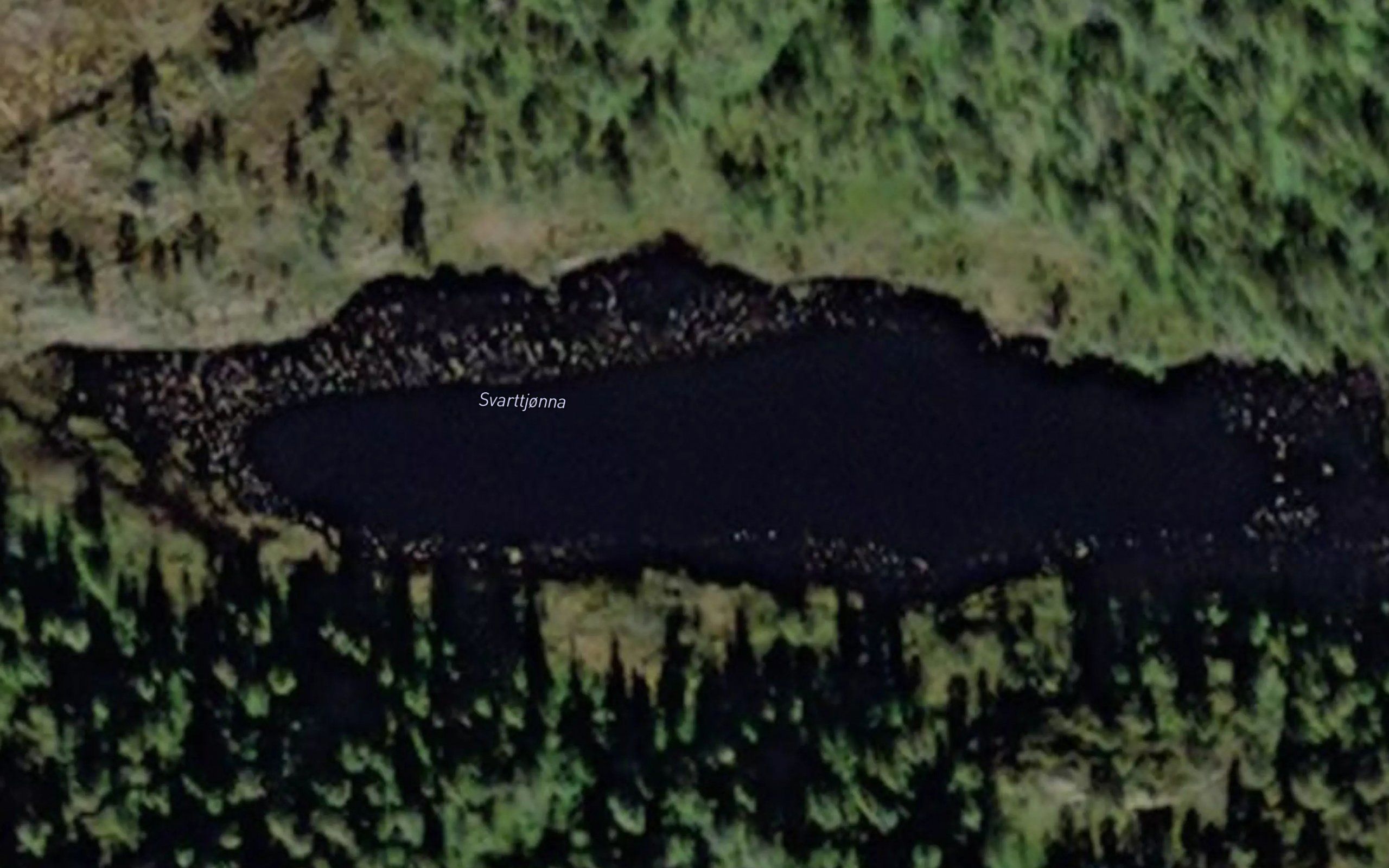 Svart-tjonna