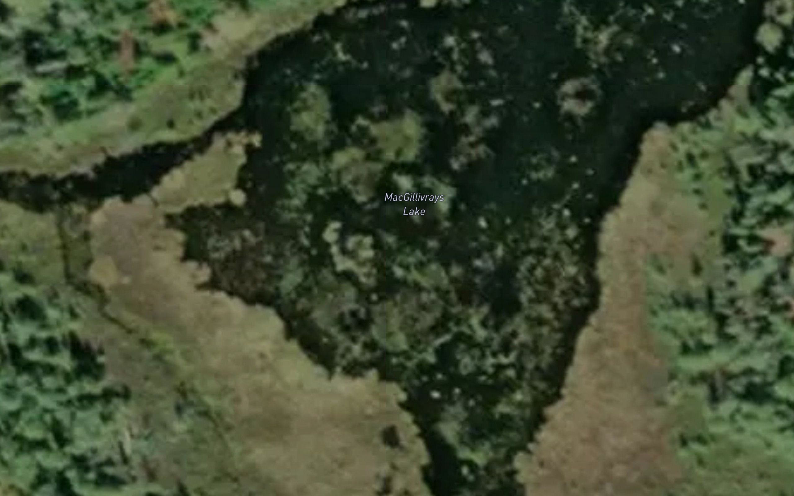 MacGillivrays Lake
