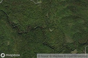 Muskrat Brook