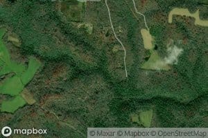 East Fork Joe Branch