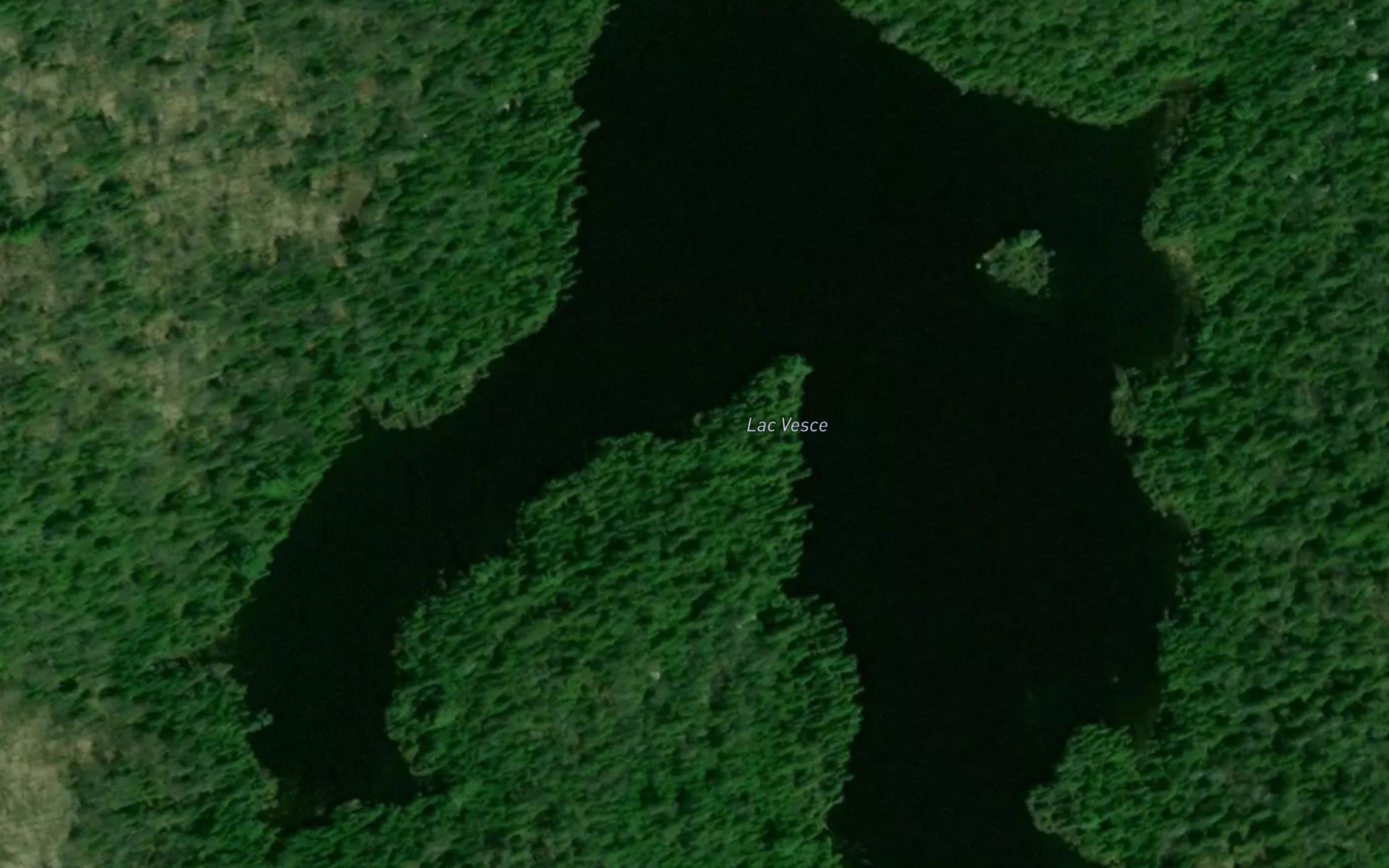 Satellite map of the Lac Vesce