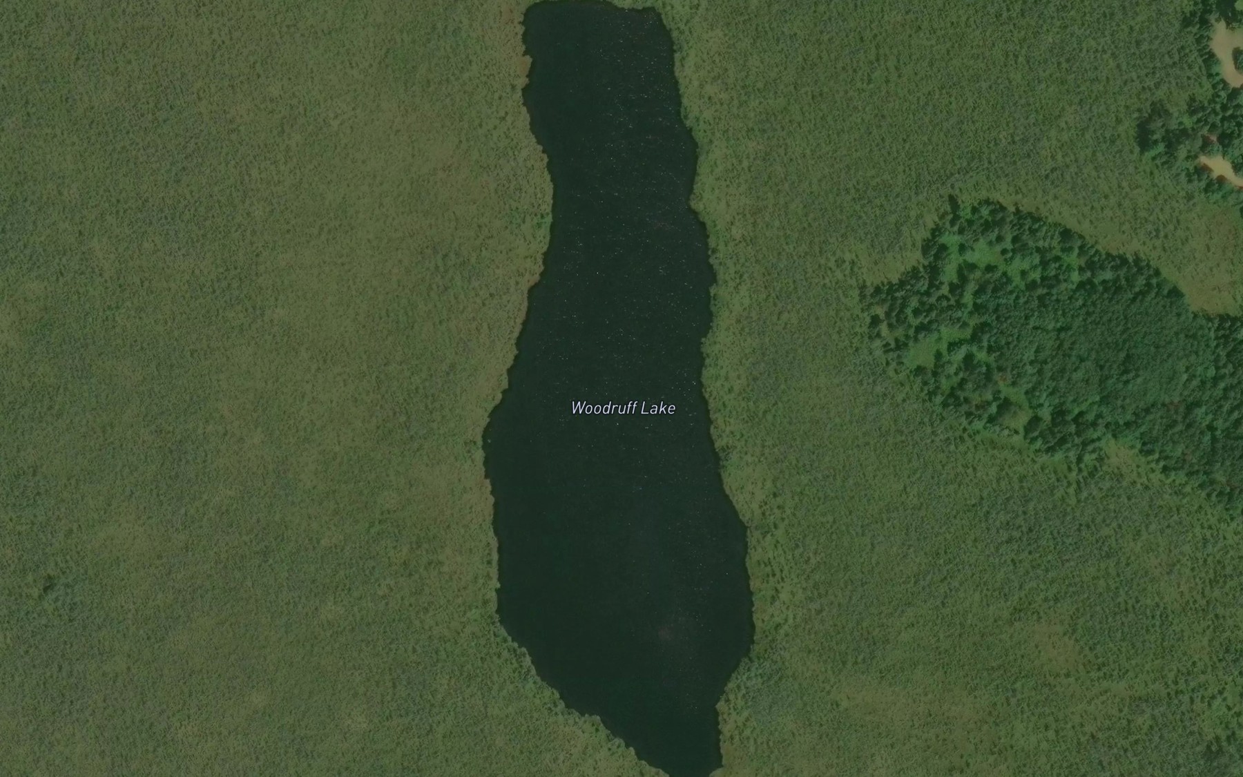 Satellite map of the Woodruff Lake