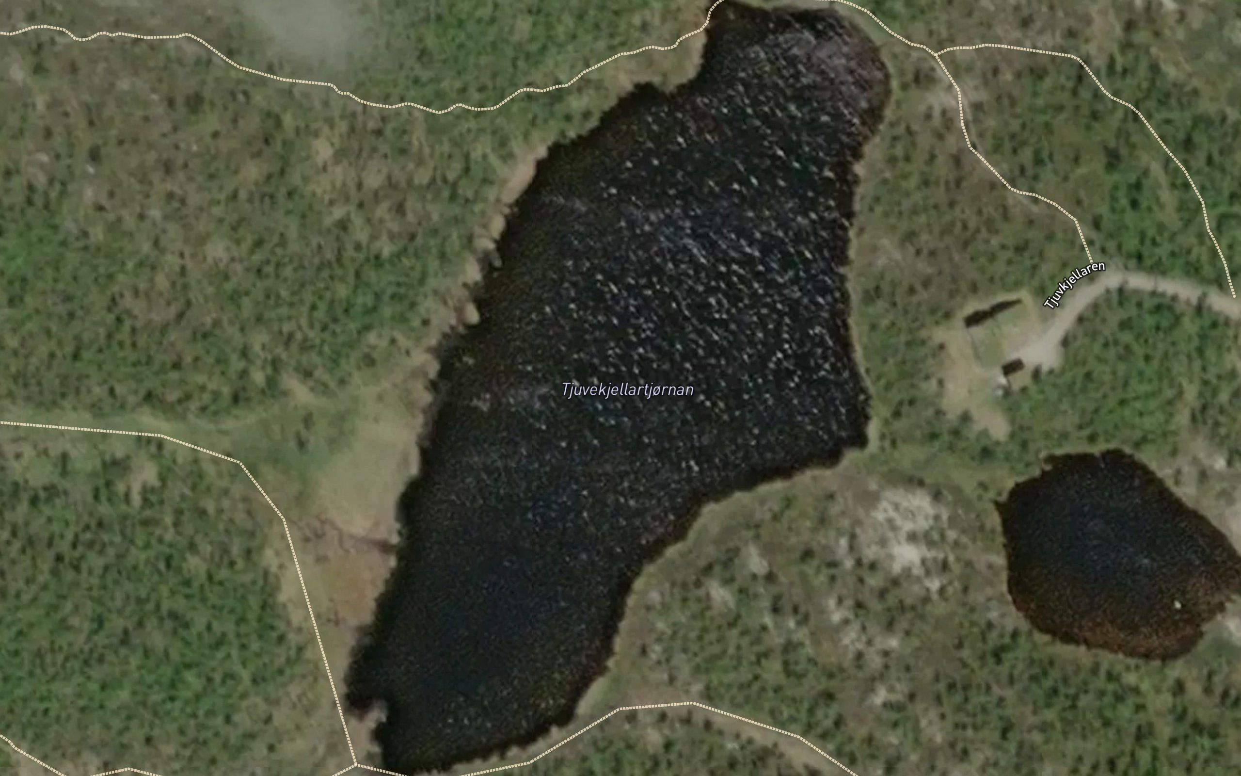 Tjuvkjellartjornan